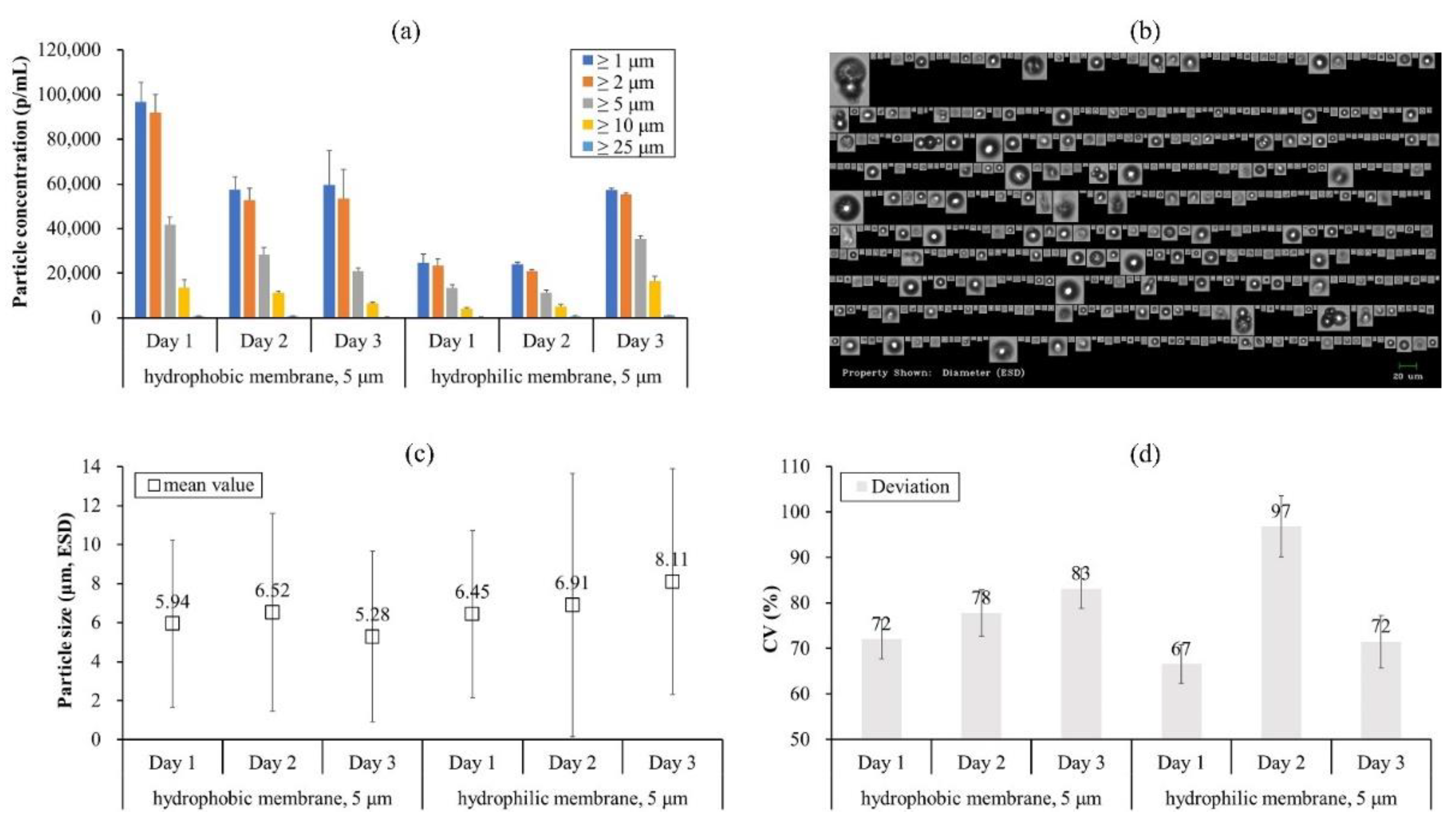 Pharmaceutics 13 01738 g004 550
