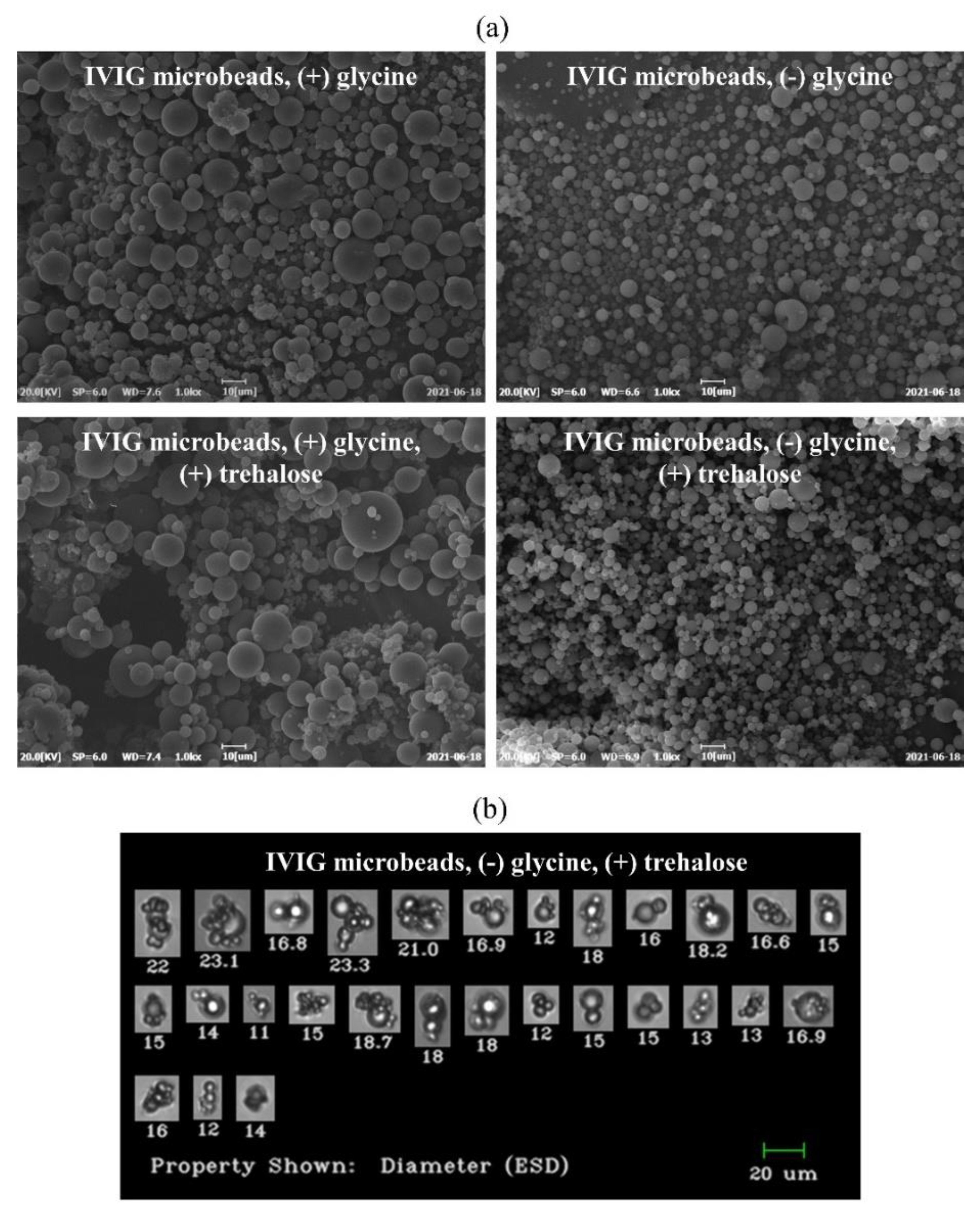 Pharmaceutics 13 01738 g011 550