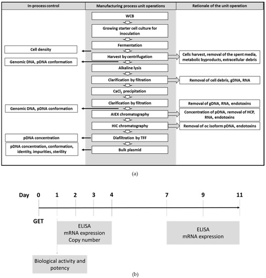 Pharmaceutics, Free Full-Text