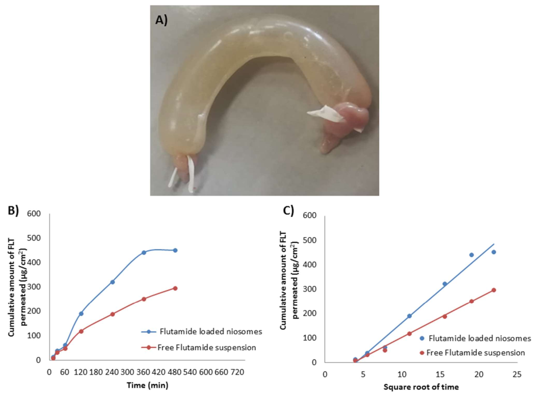 Pharmaceutics 13 01741 g006