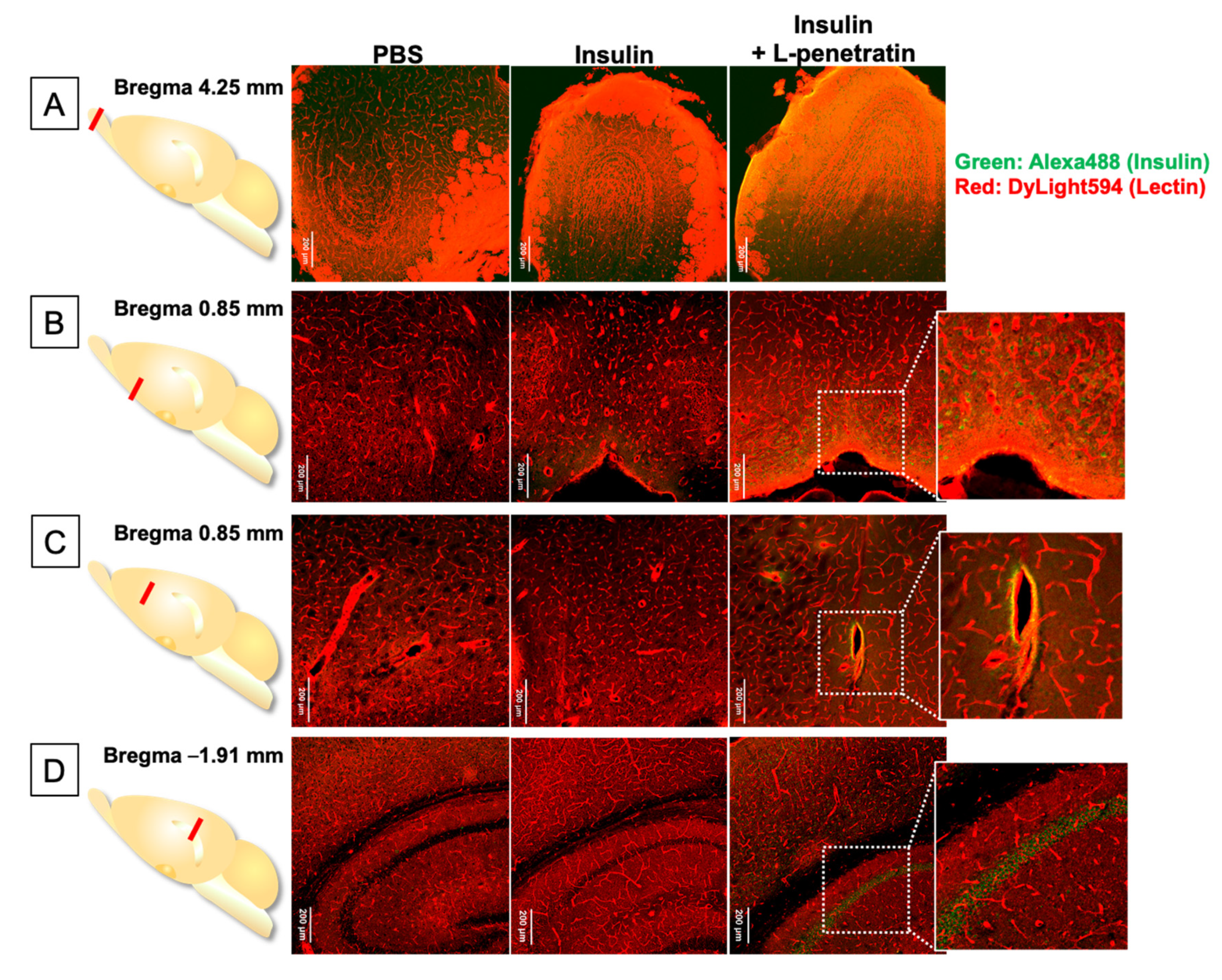 Pharmaceutics 13 01745 g006 550