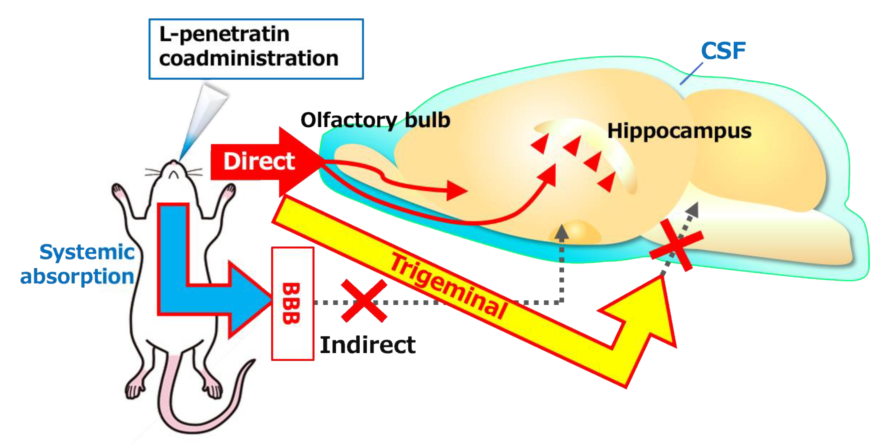 Pharmaceutics 13 01745 g008 550
