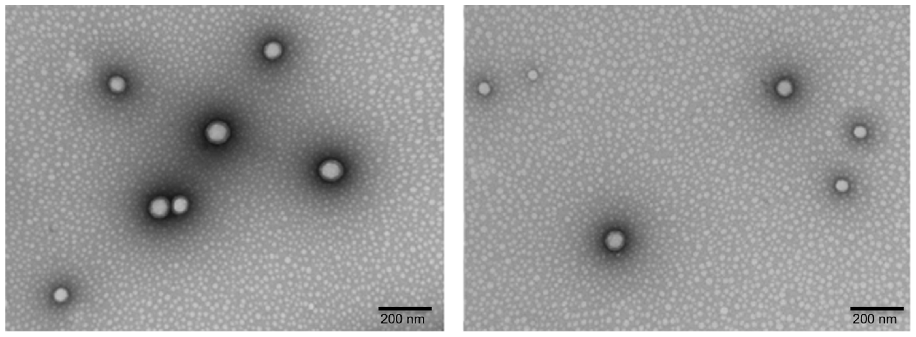 Pharmaceutics 13 01751 g002