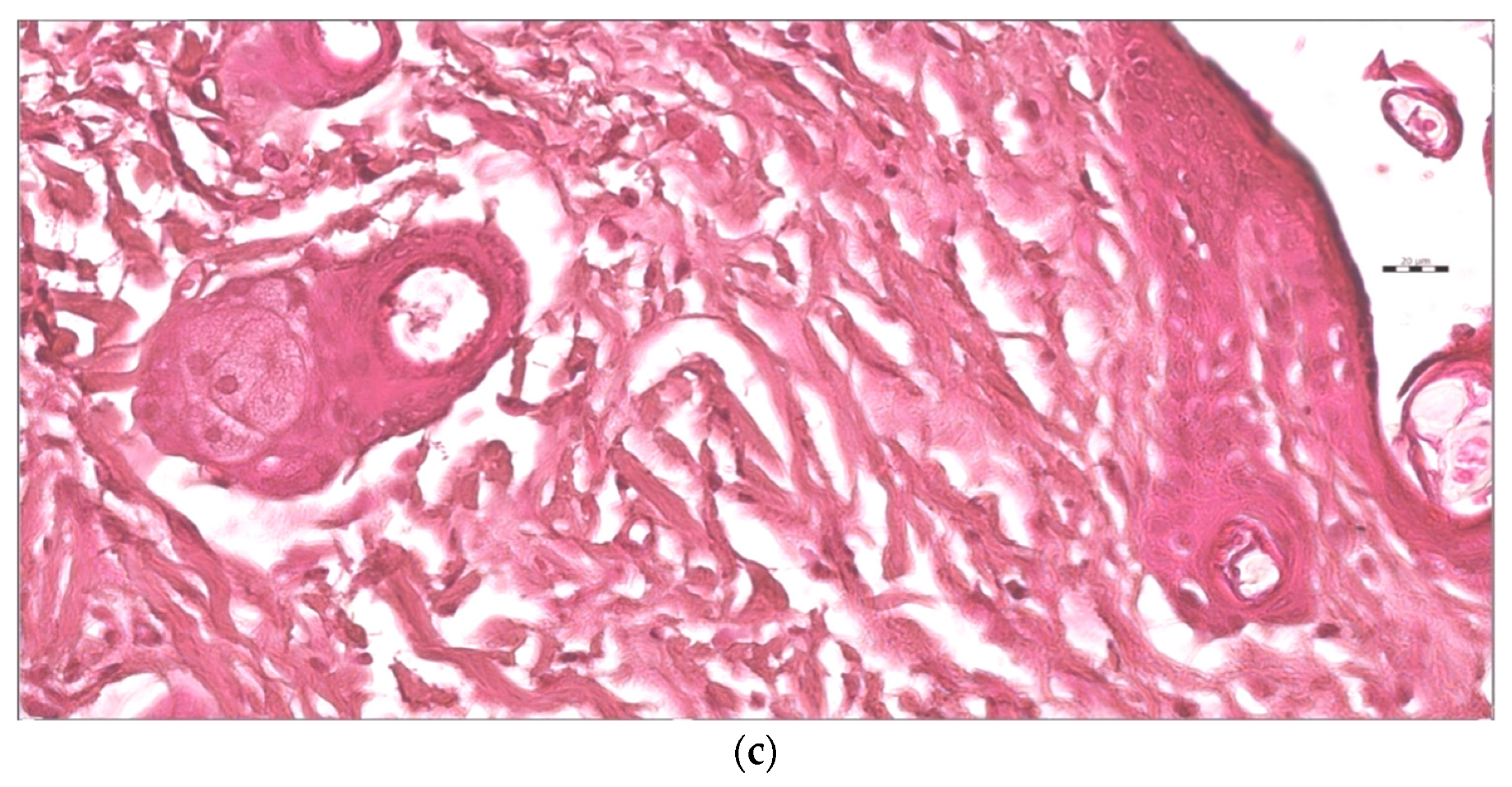 Pharmaceutics 13 01754 g013b 550
