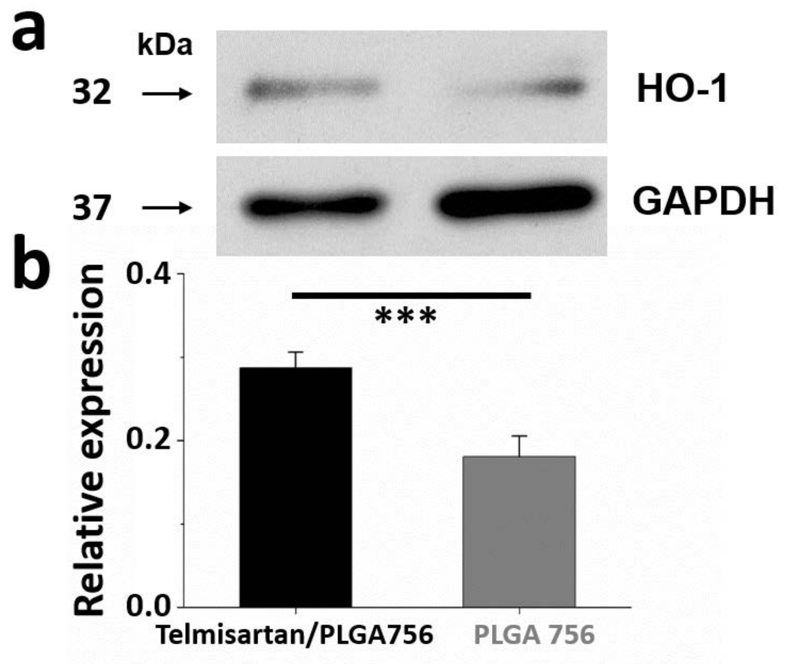 Pharmaceutics 13 01756 g006 550