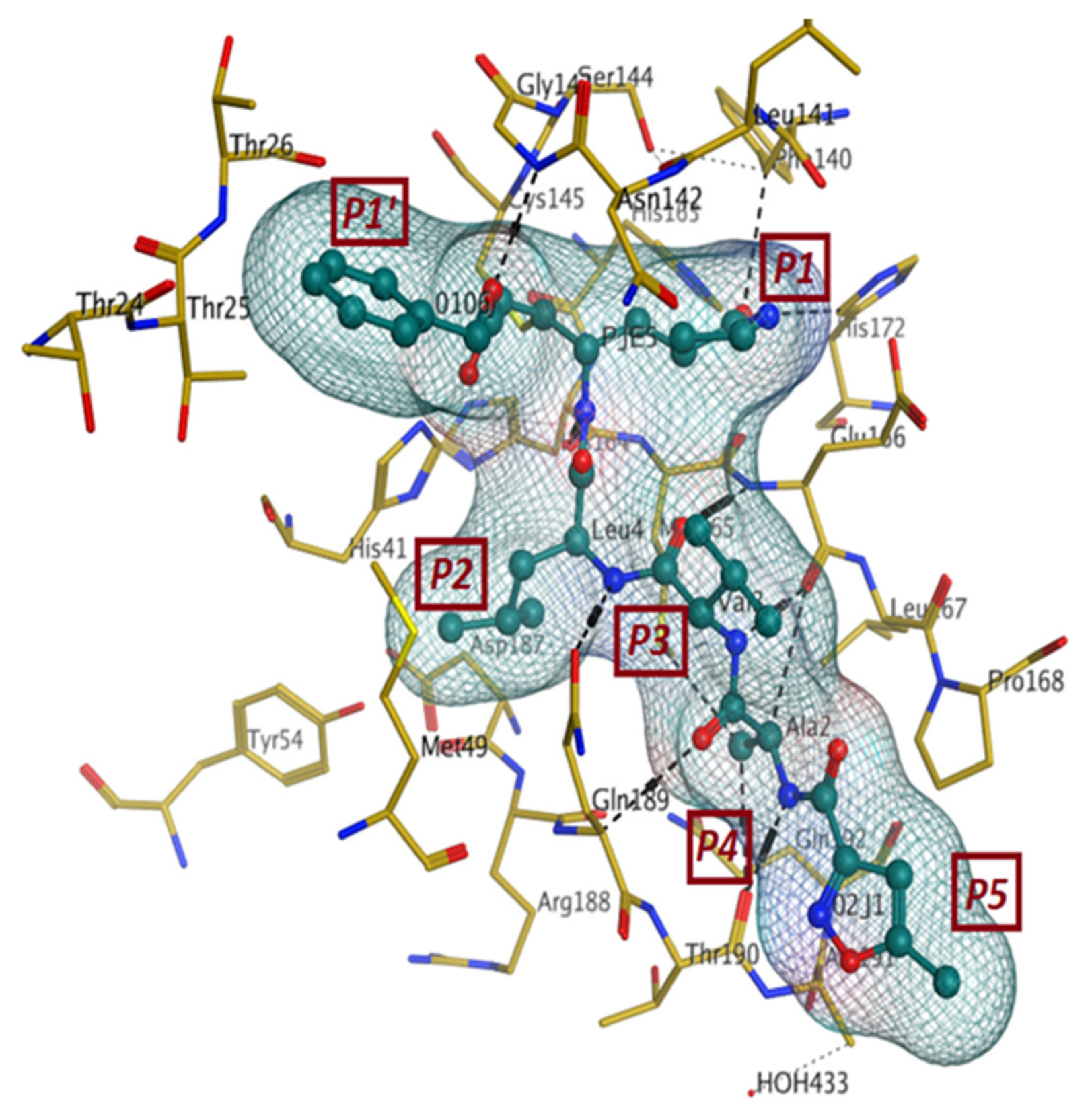 Pharmaceutics 13 01759 g003