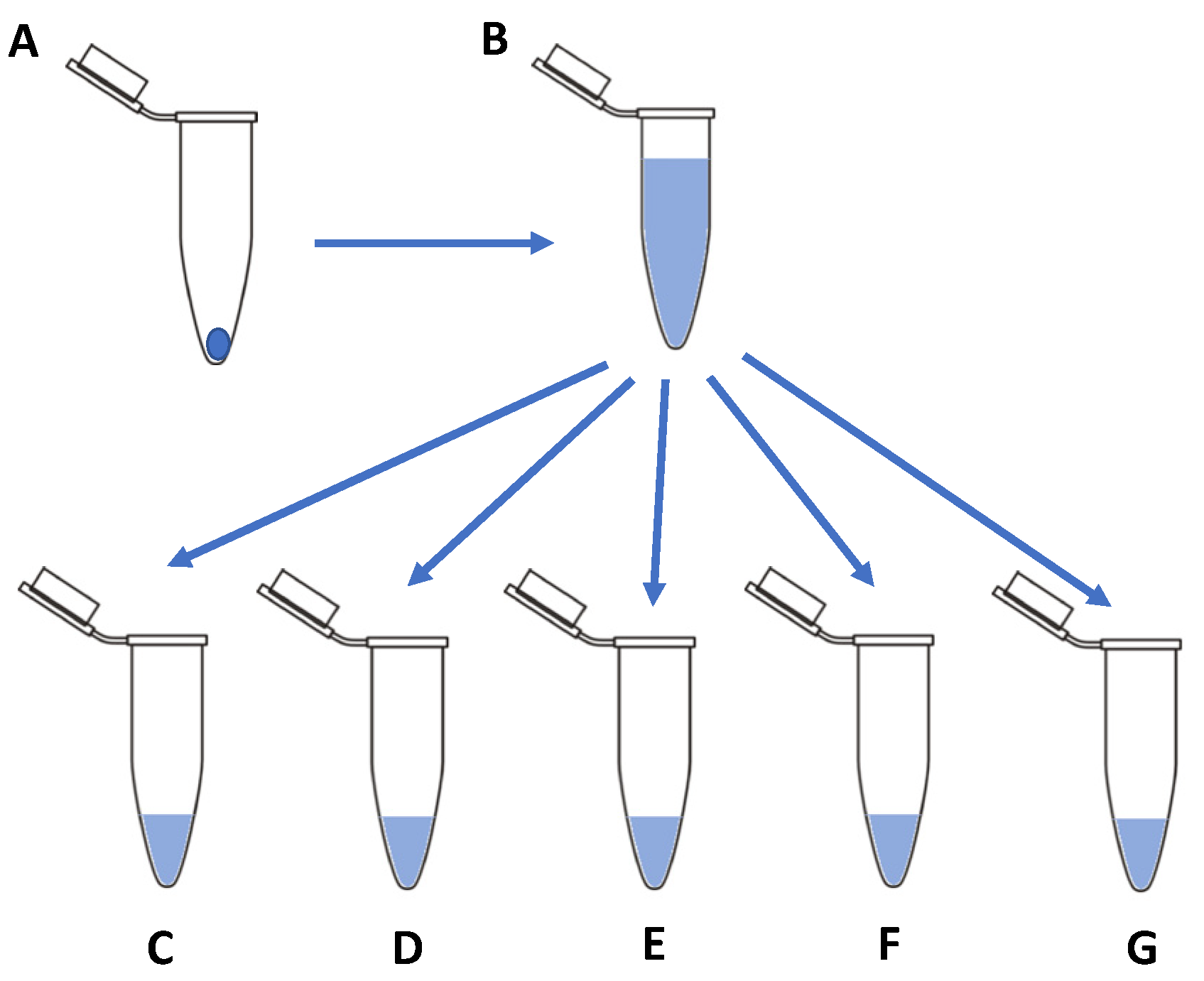 Pharmaceutics 13 01762 g001