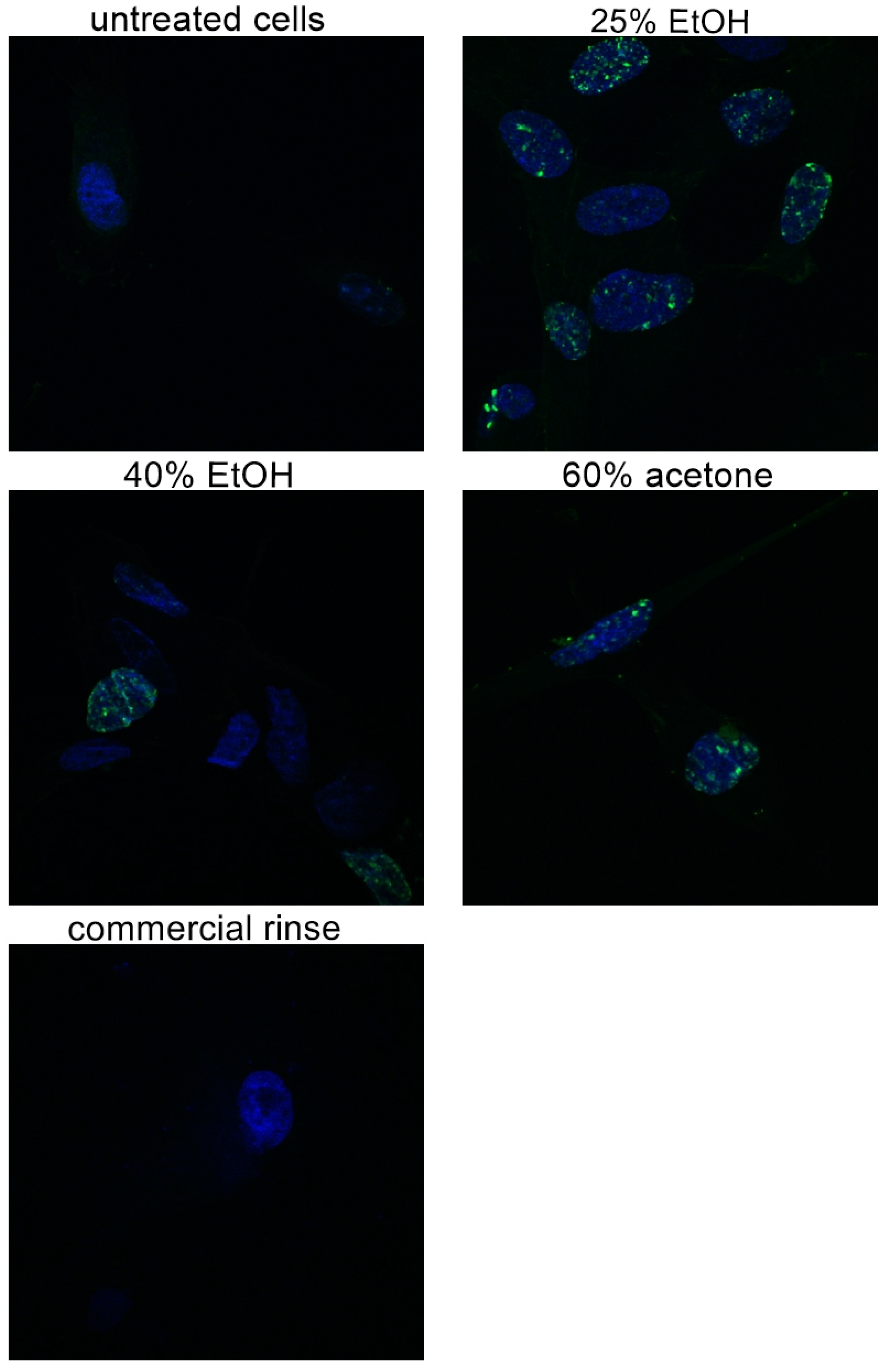 Pharmaceutics 13 01764 g002