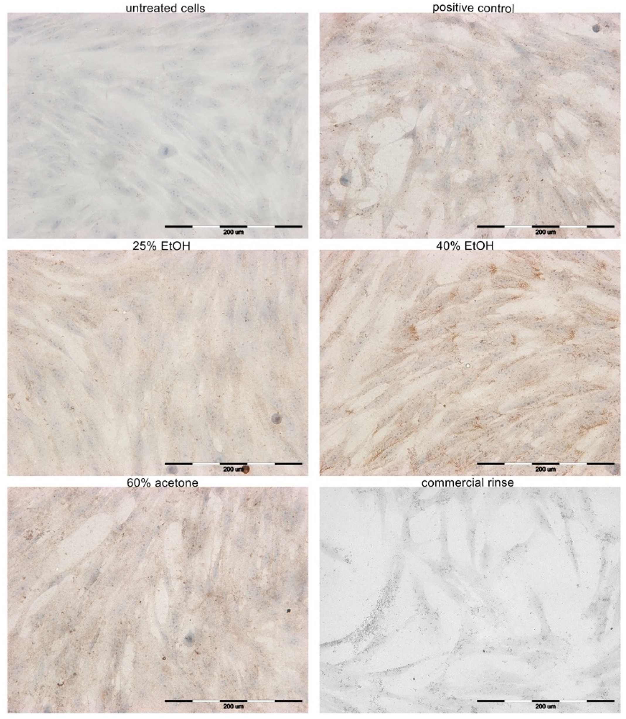 Pharmaceutics 13 01764 g005