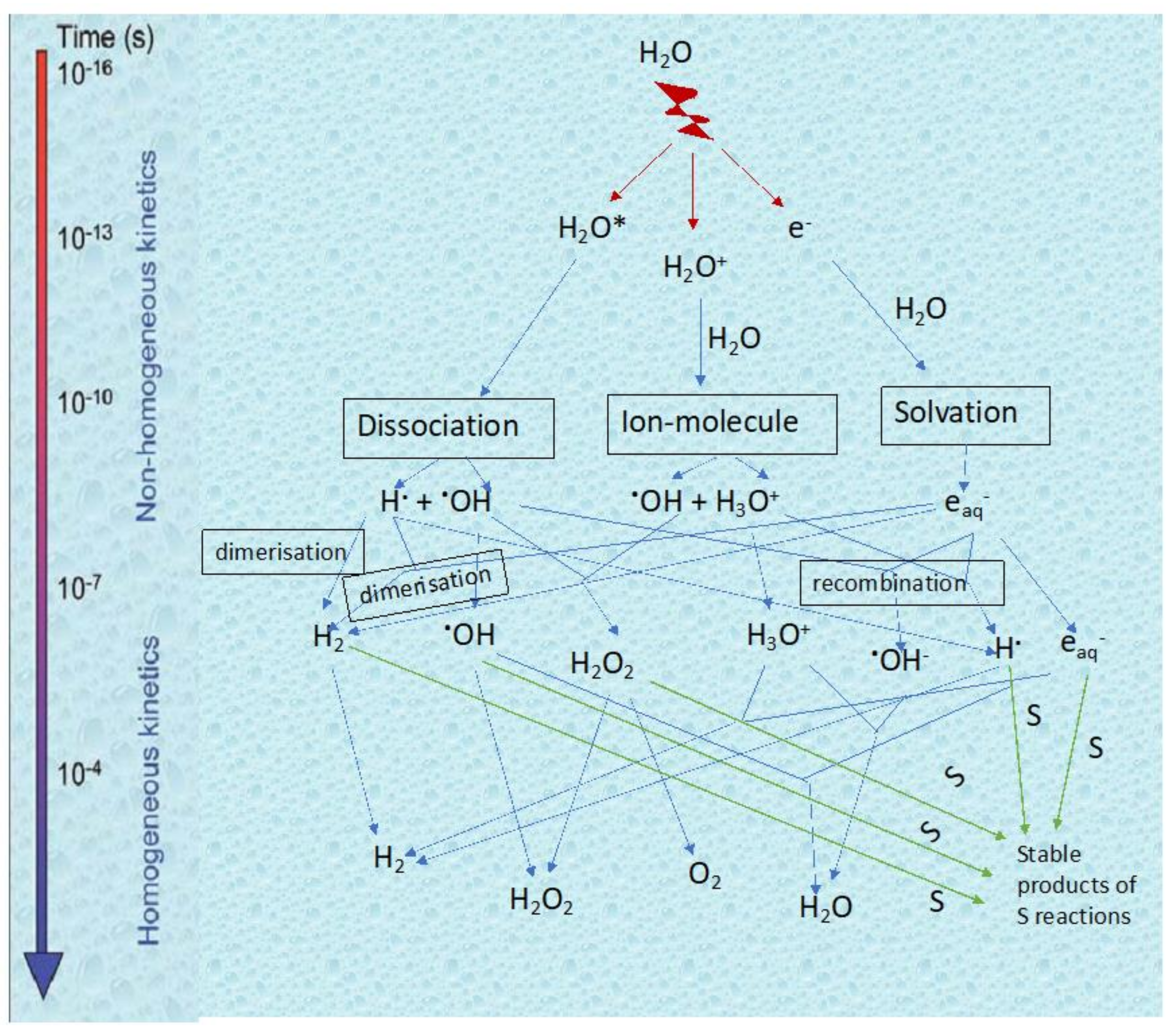 Pharmaceutics 13 01765 g001 550