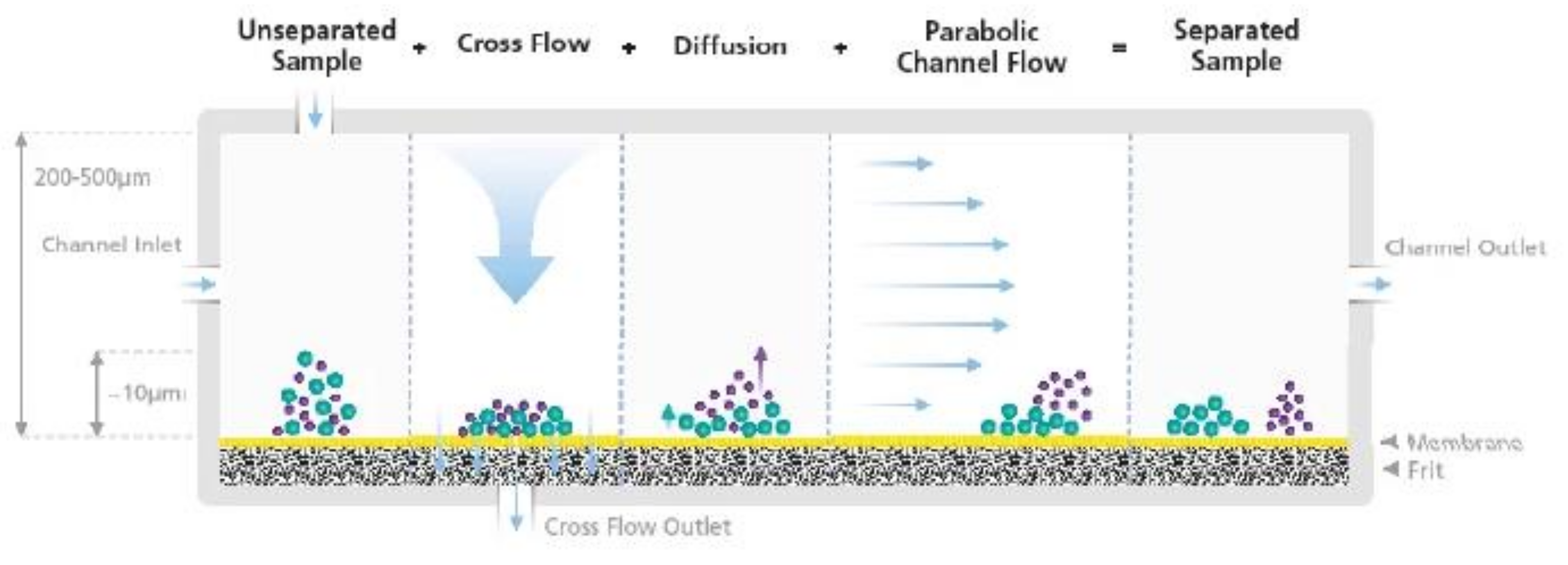 Pharmaceutics 13 01765 g013 550