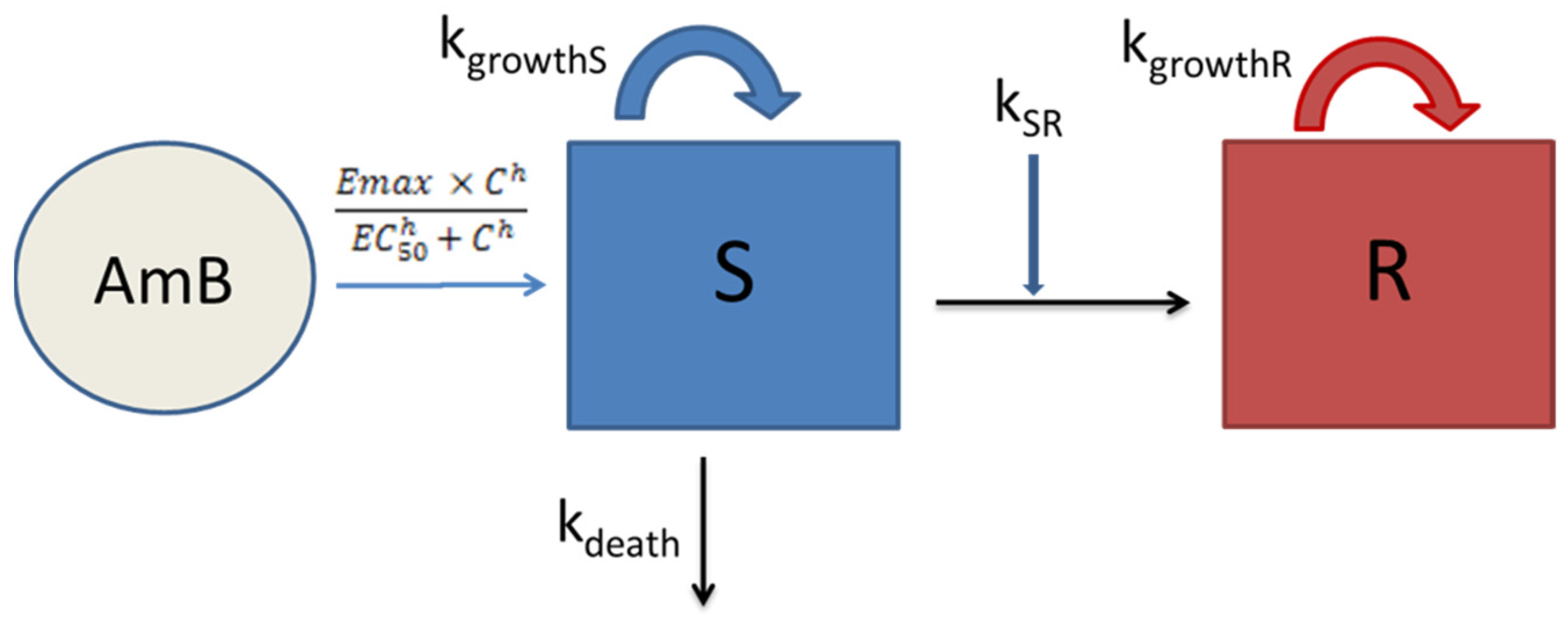 Pharmaceutics 13 01767 sch001