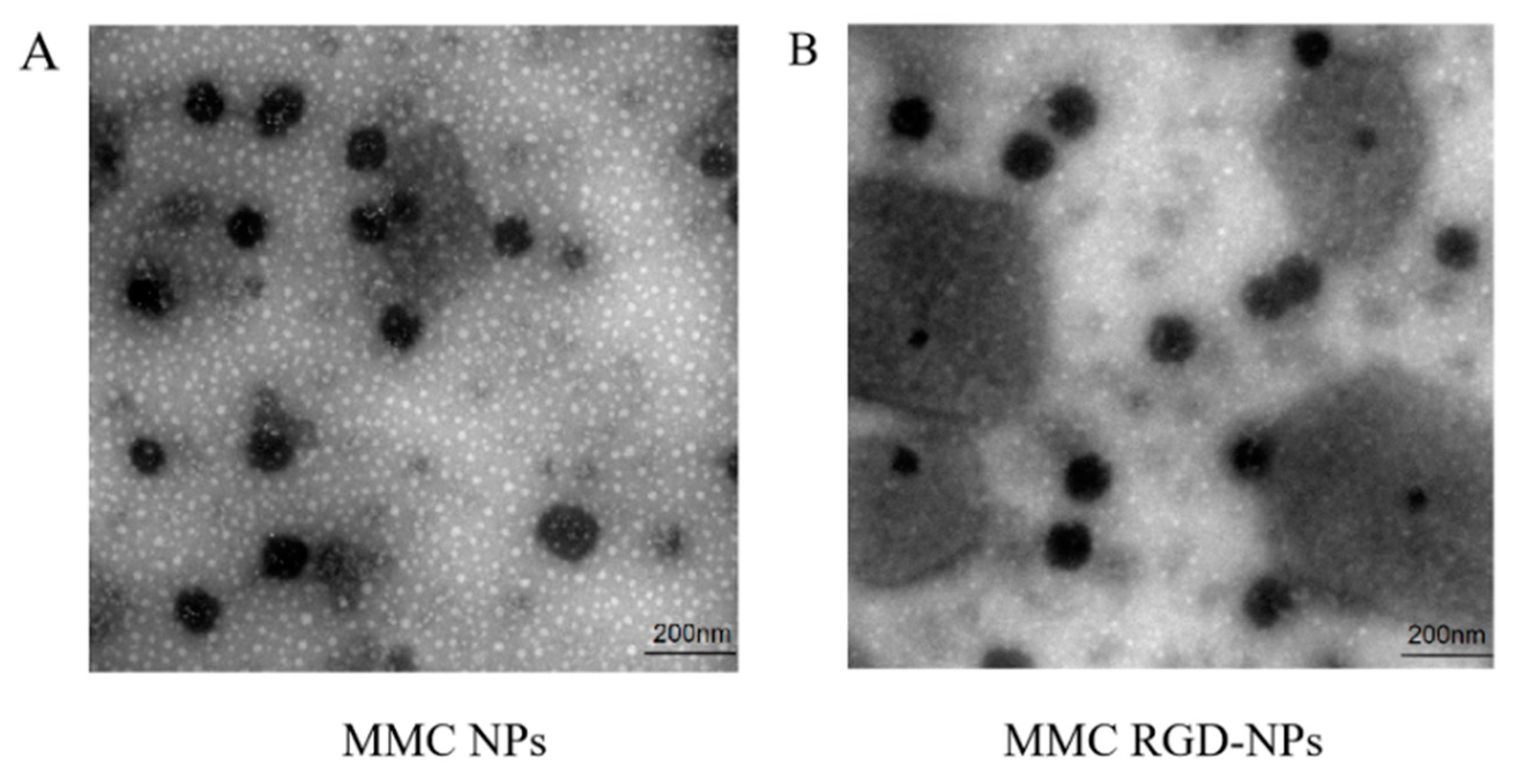Pharmaceutics 13 01776 g003
