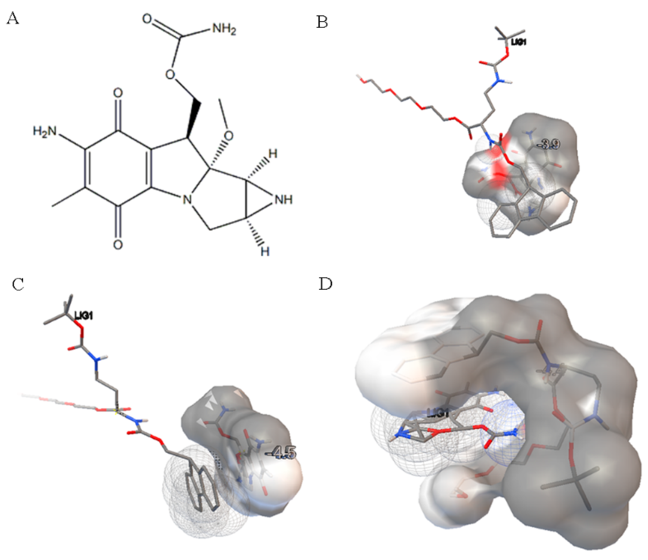 Pharmaceutics 13 01776 g007