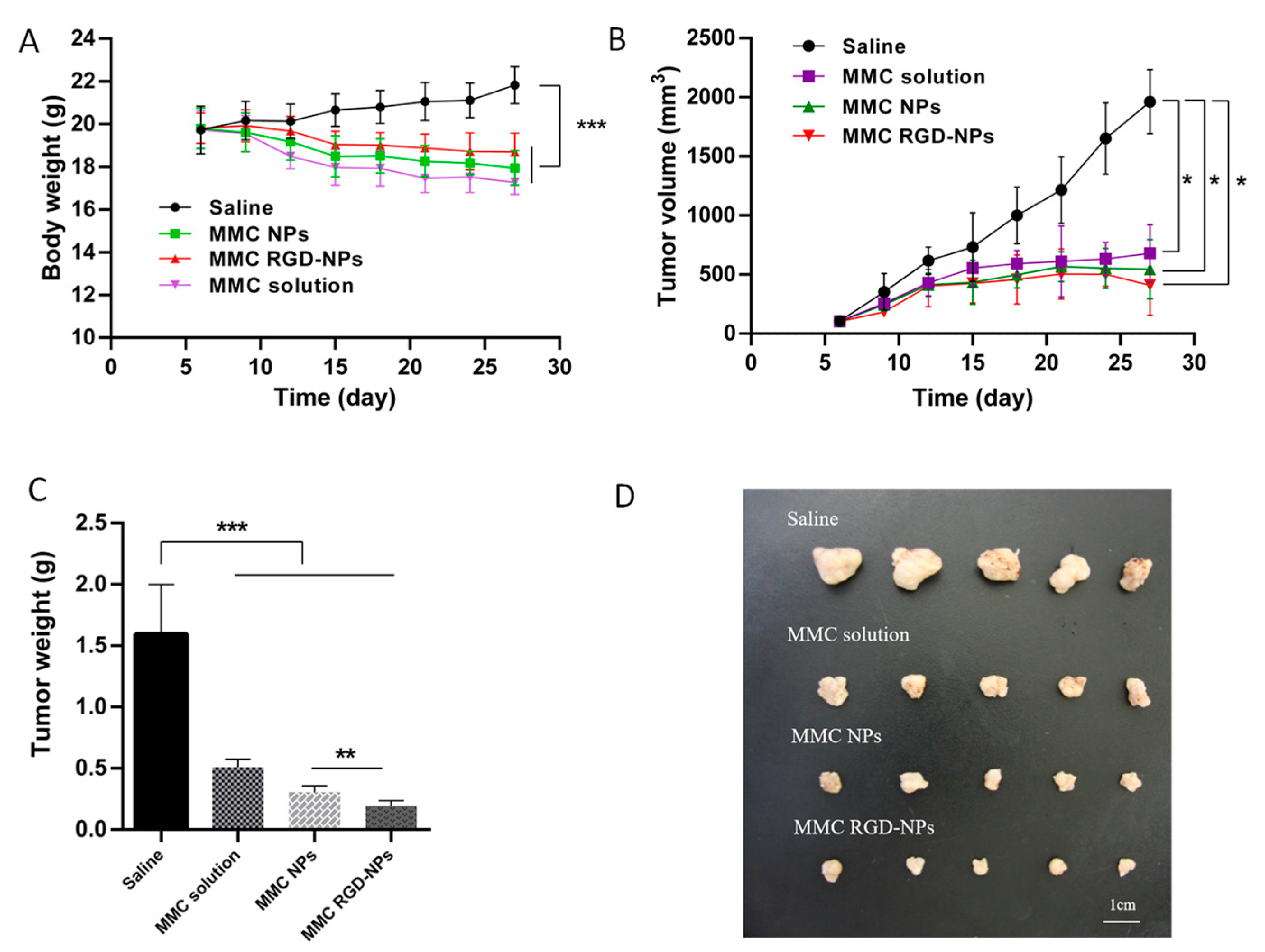 Pharmaceutics 13 01776 g012
