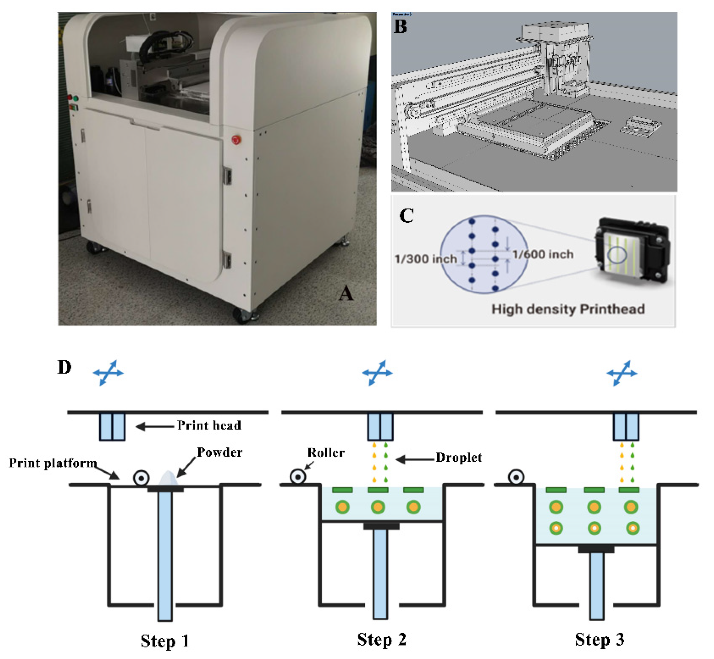 Pharmaceutics 13 01780 g002