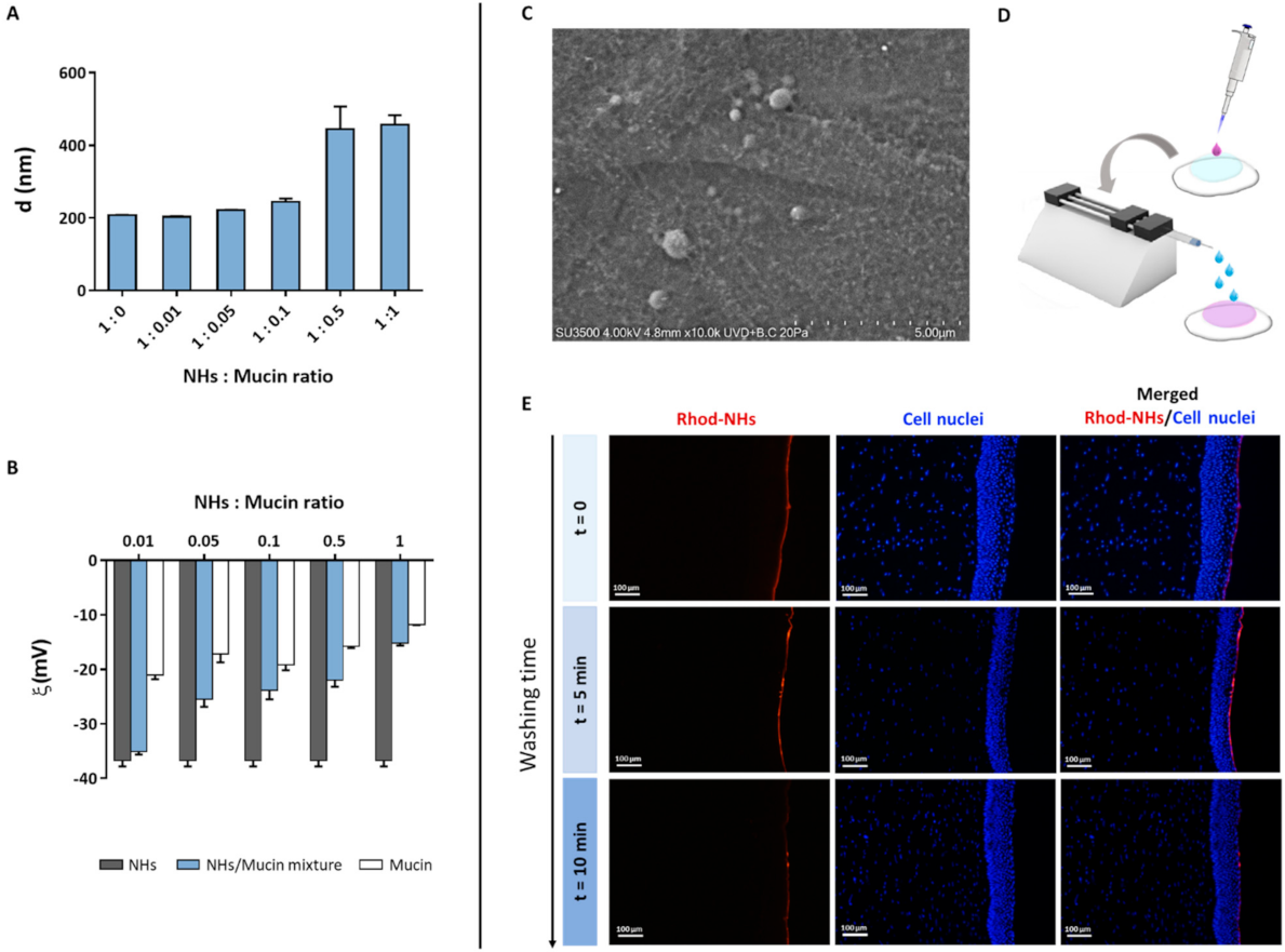 Pharmaceutics 13 01781 g003 550