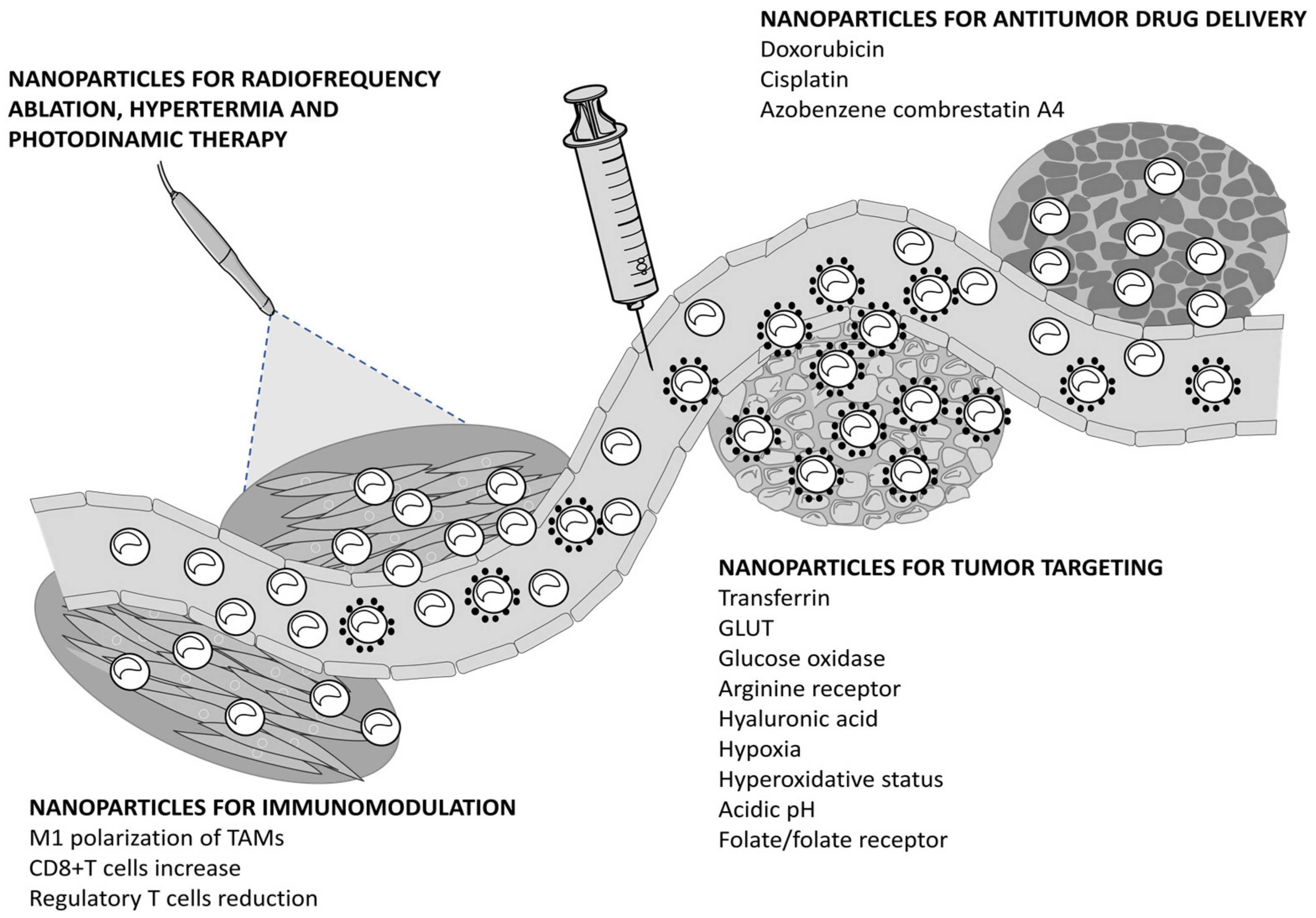 Pharmaceutics 13 01785 g002