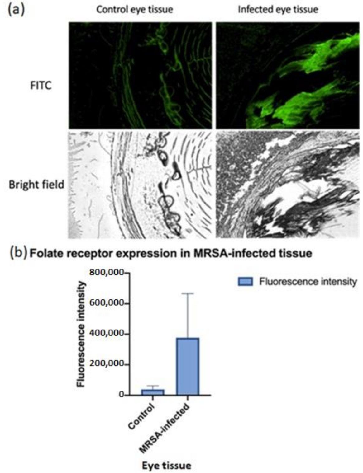 A Folate Receptor-Targeting Nanoparticle Minimizes Drug Resistance