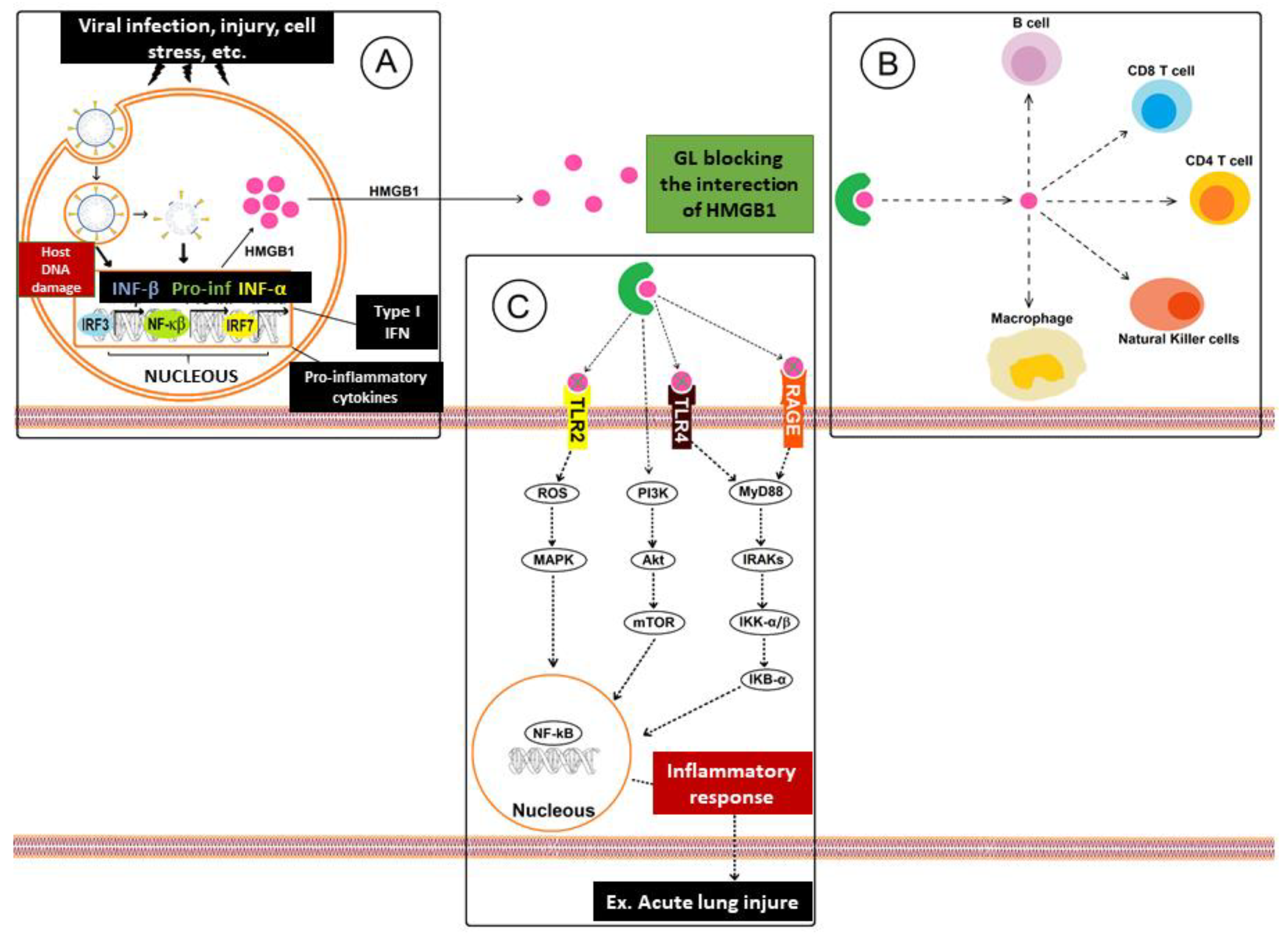 Pharmaceutics 13 01792 g002