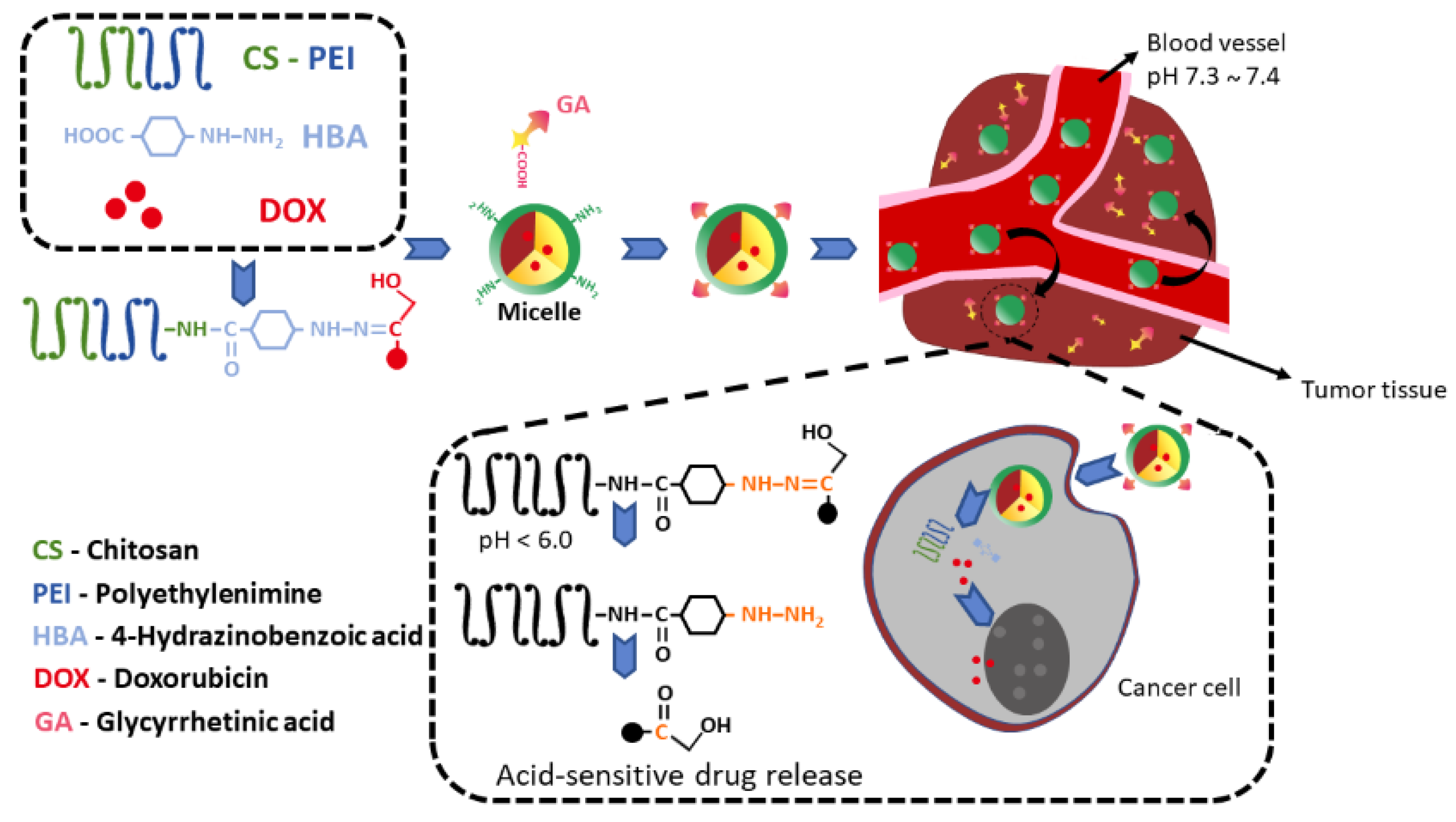 Pharmaceutics 13 01792 g006