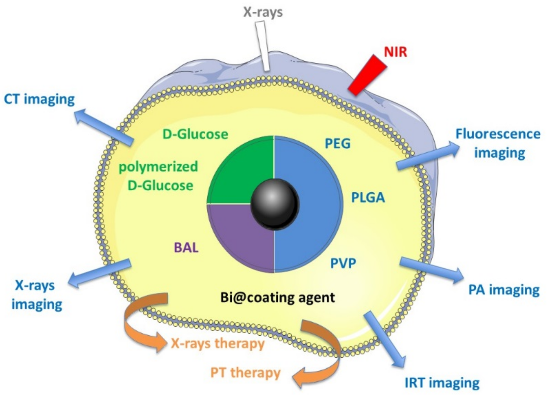 Pharmaceutics 13 01793 g001 550