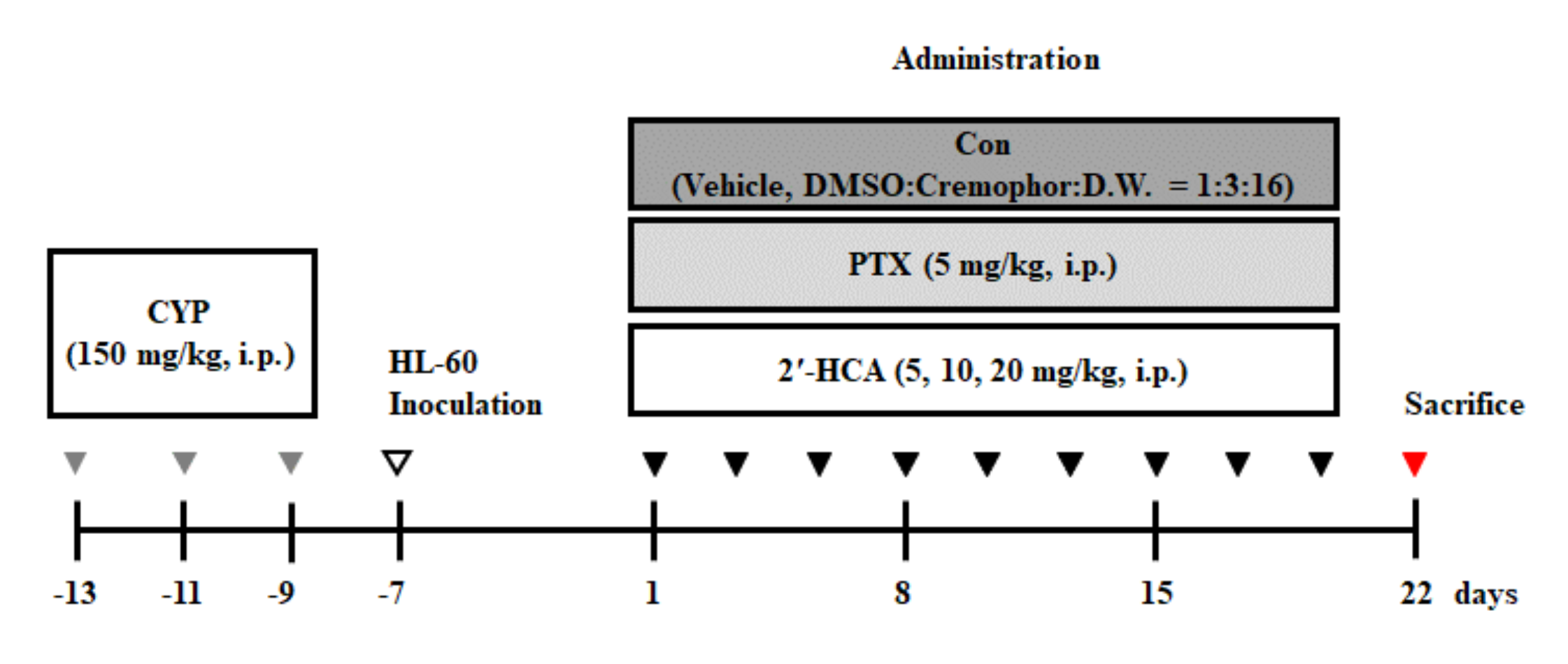 Pharmaceutics 13 01794 g002 Pharmaceutics 13 01794 g002