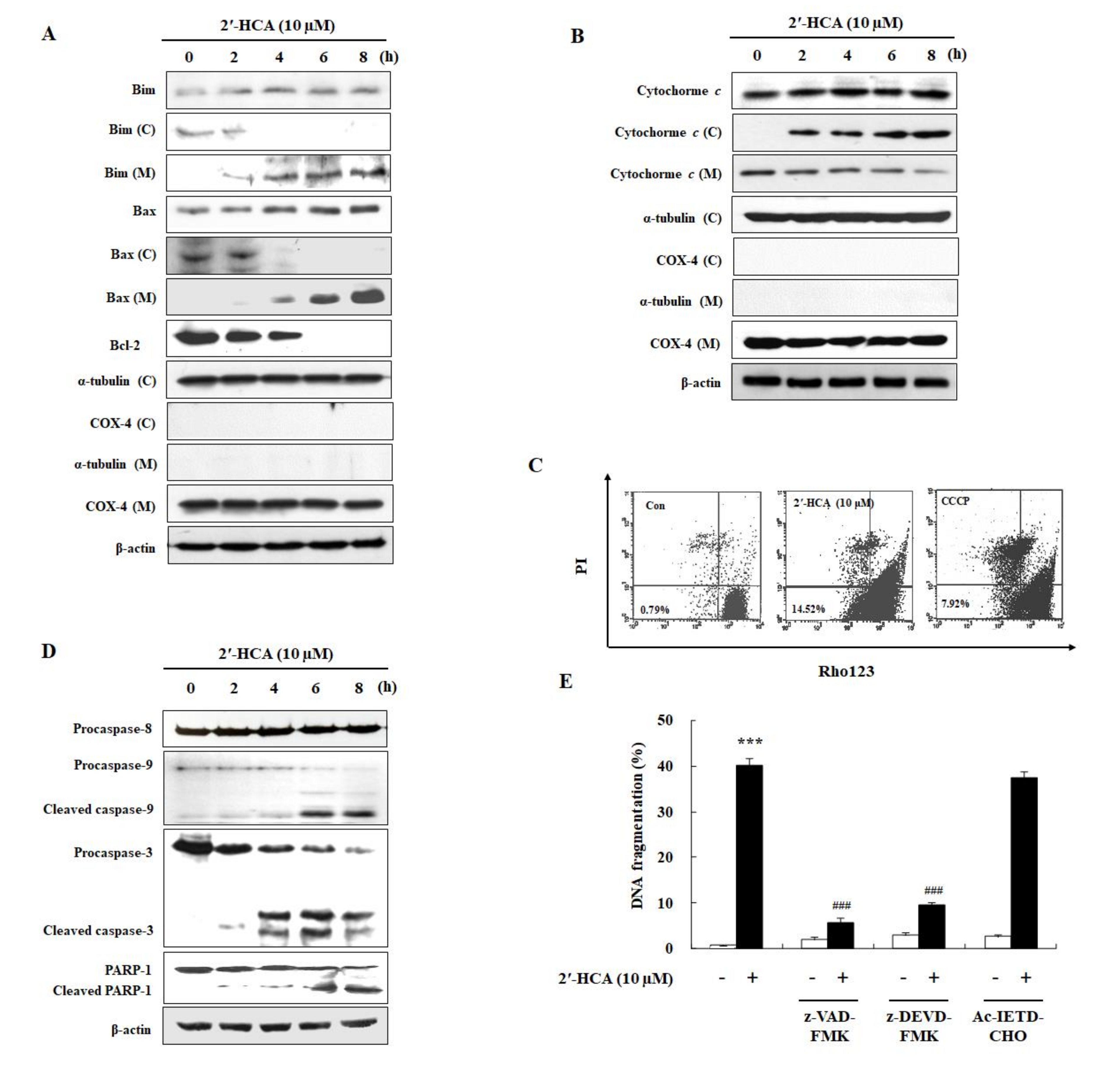 Pharmaceutics 13 01794 g004 Pharmaceutics 13 01794 g004