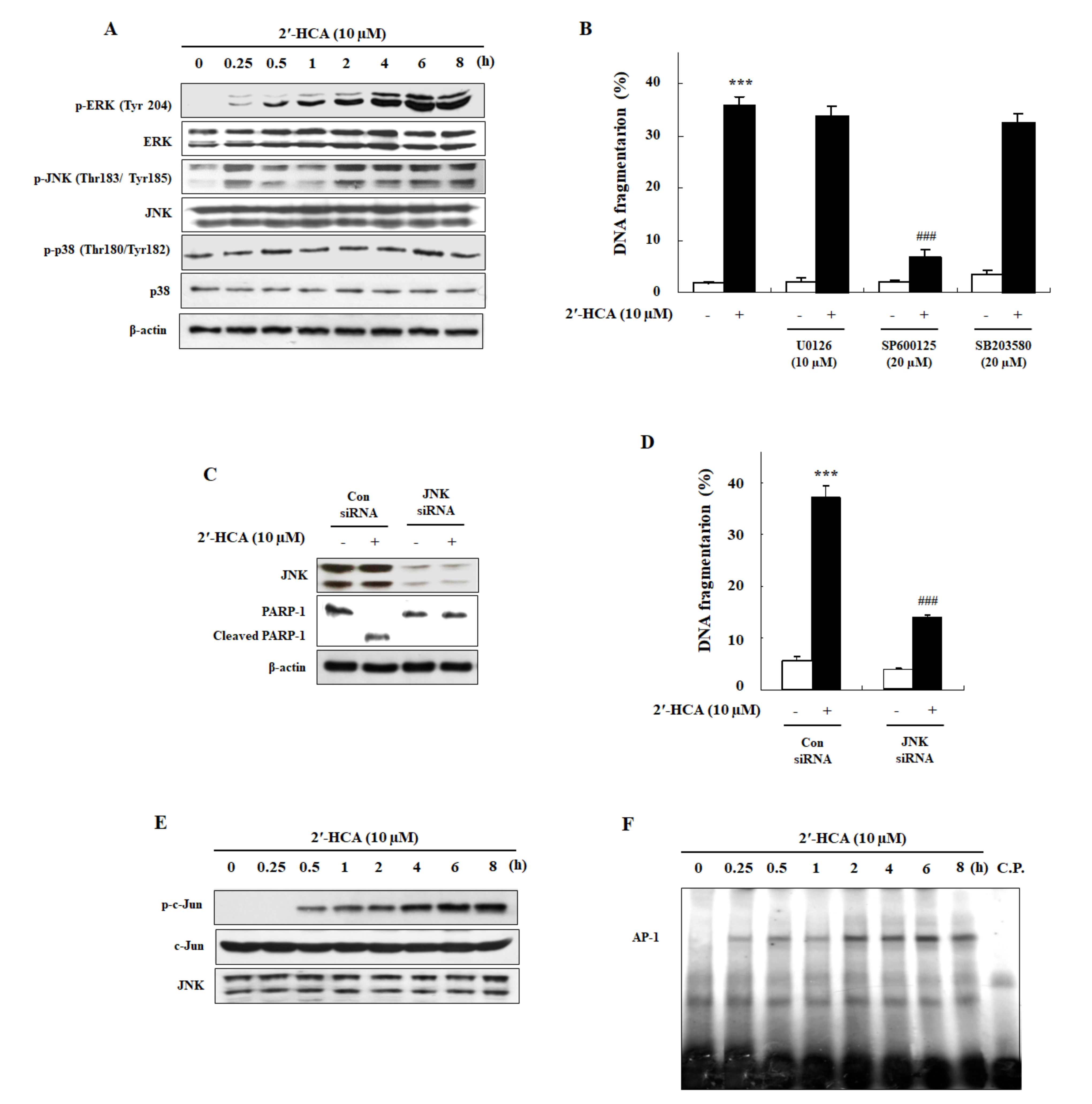 Pharmaceutics 13 01794 g005 Pharmaceutics 13 01794 g005