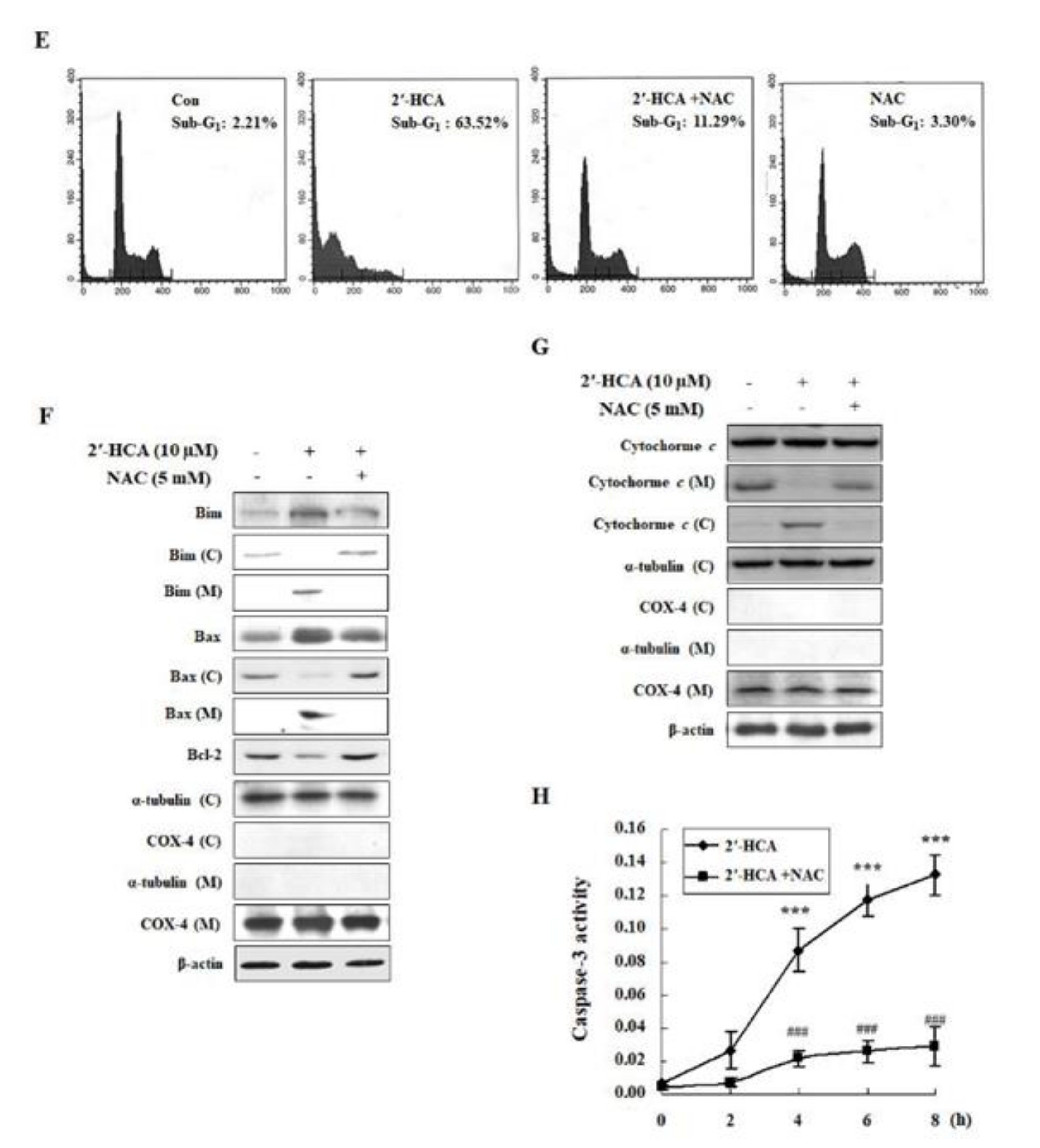 Pharmaceutics 13 01794 g006b Pharmaceutics 13 01794 g006b