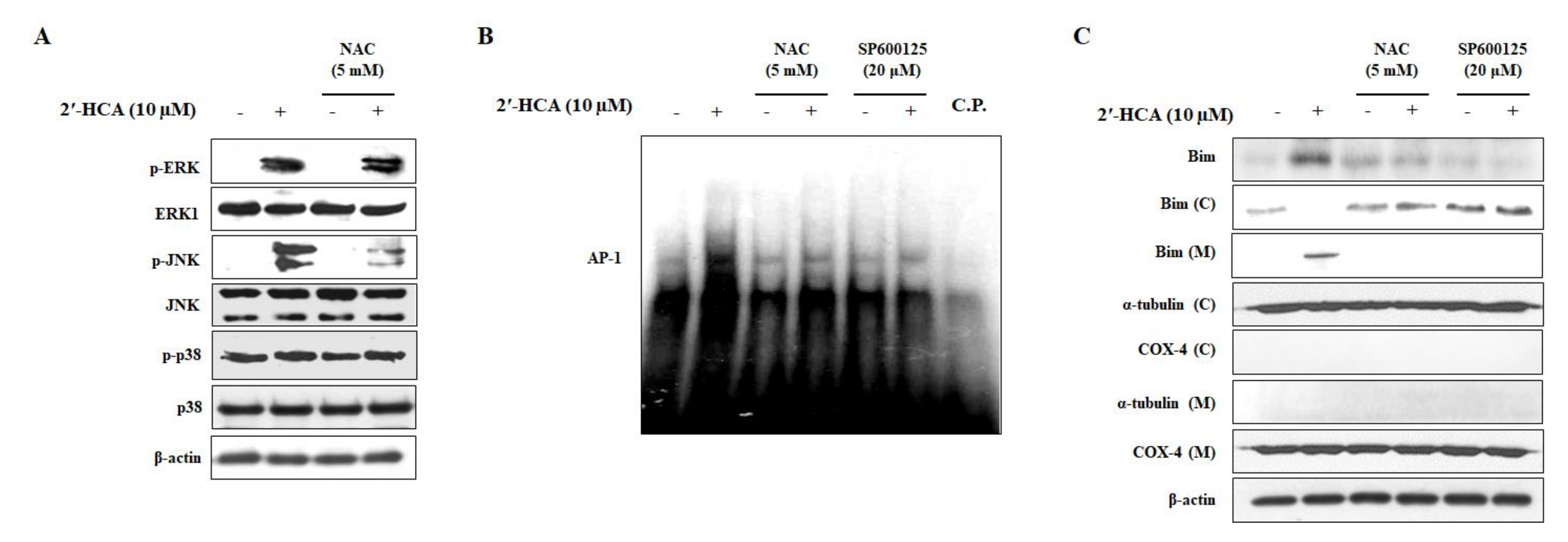 Pharmaceutics 13 01794 g007 Pharmaceutics 13 01794 g007