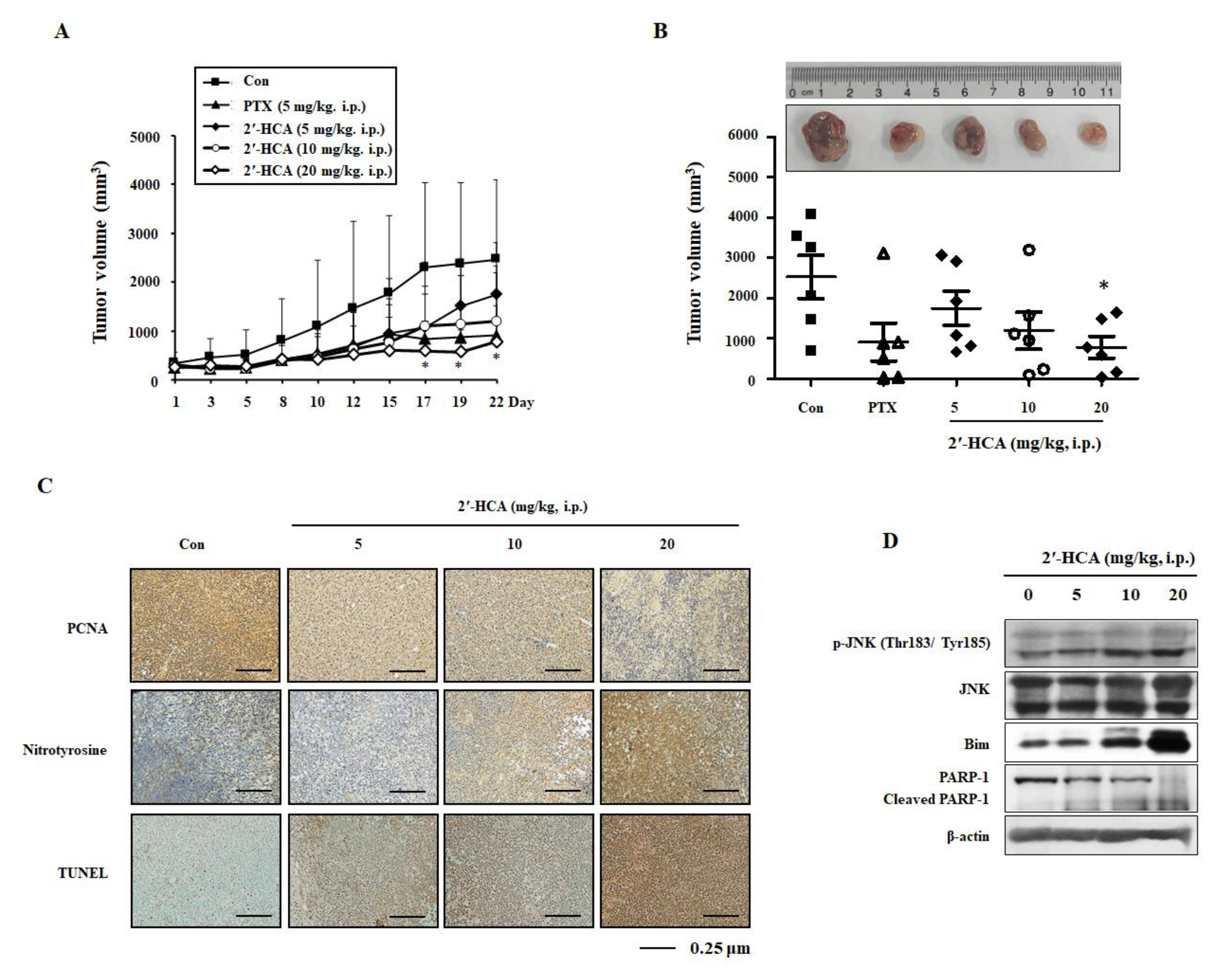 Pharmaceutics 13 01794 g008 Pharmaceutics 13 01794 g008