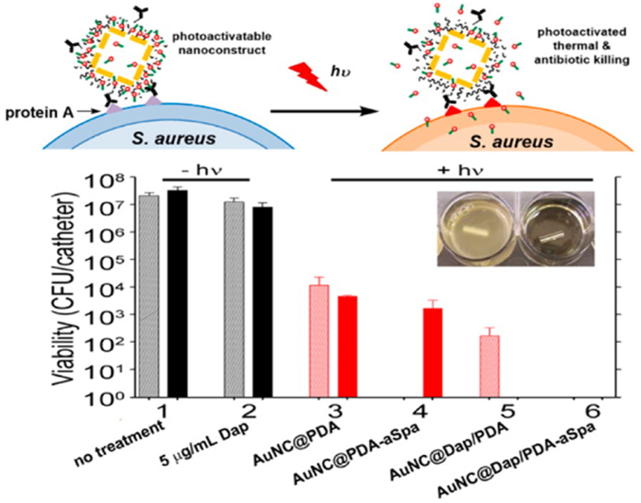 Pharmaceutics 13 01795 g007