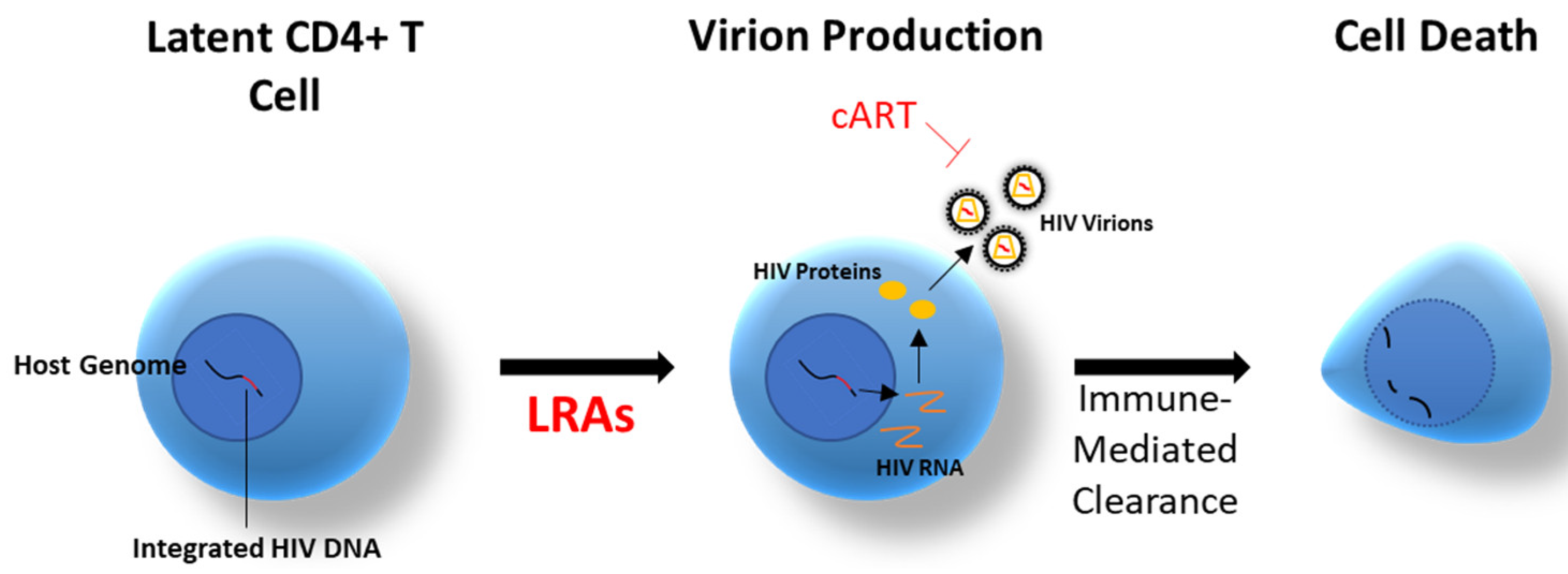 Pharmaceutics 13 01798 g001 Pharmaceutics 13 01798 g001
