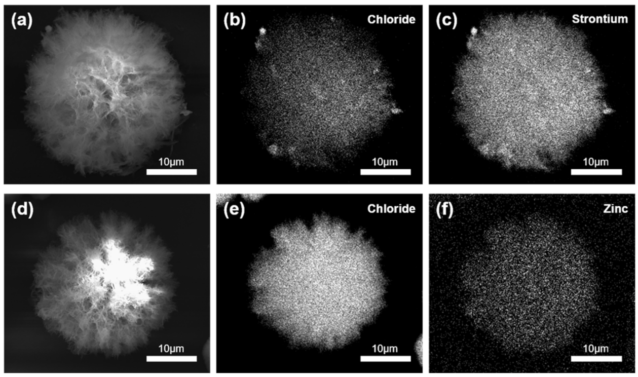 Pharmaceutics 13 01799 g002 Pharmaceutics 13 01799 g002