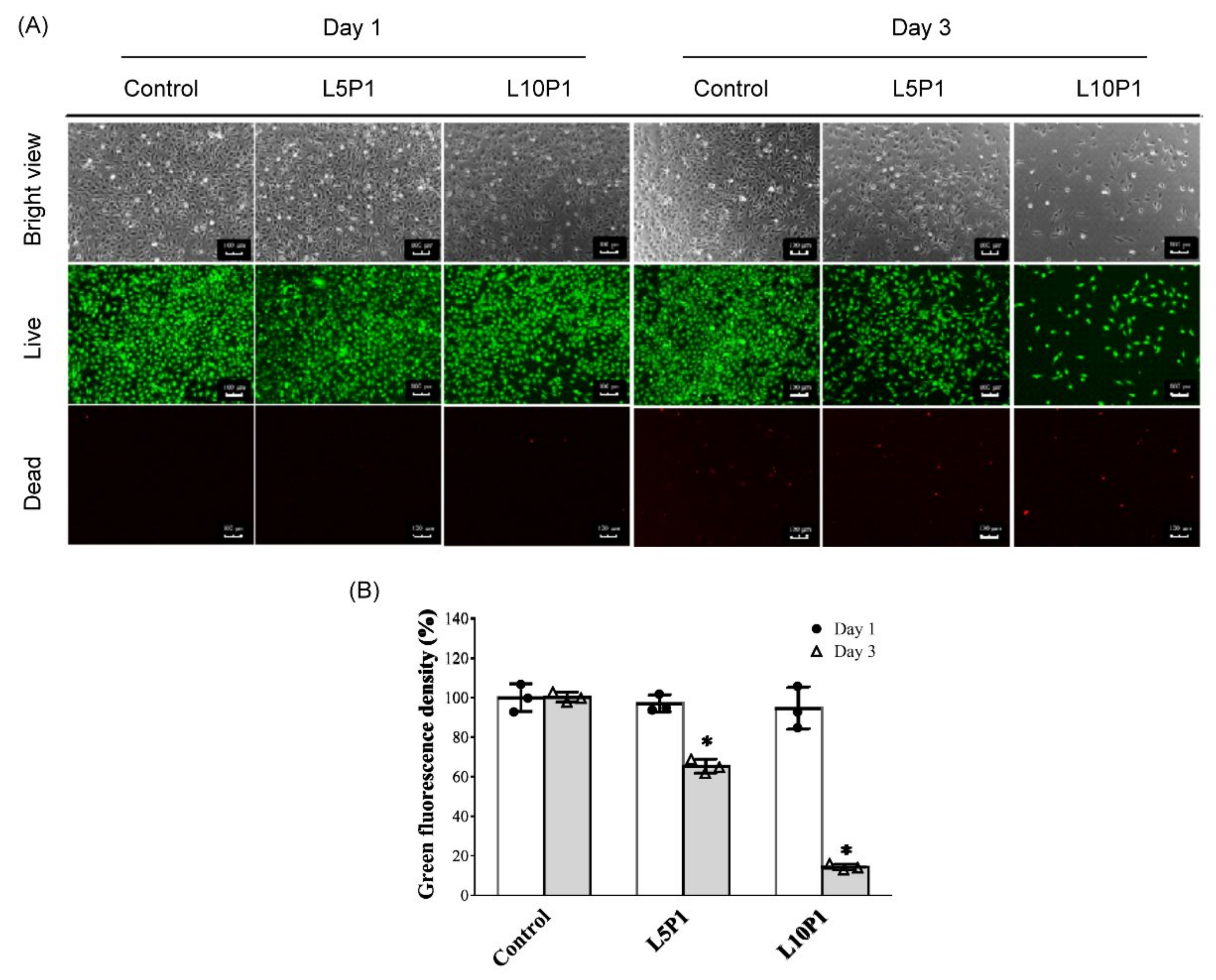 Pharmaceutics 13 01801 g002 550