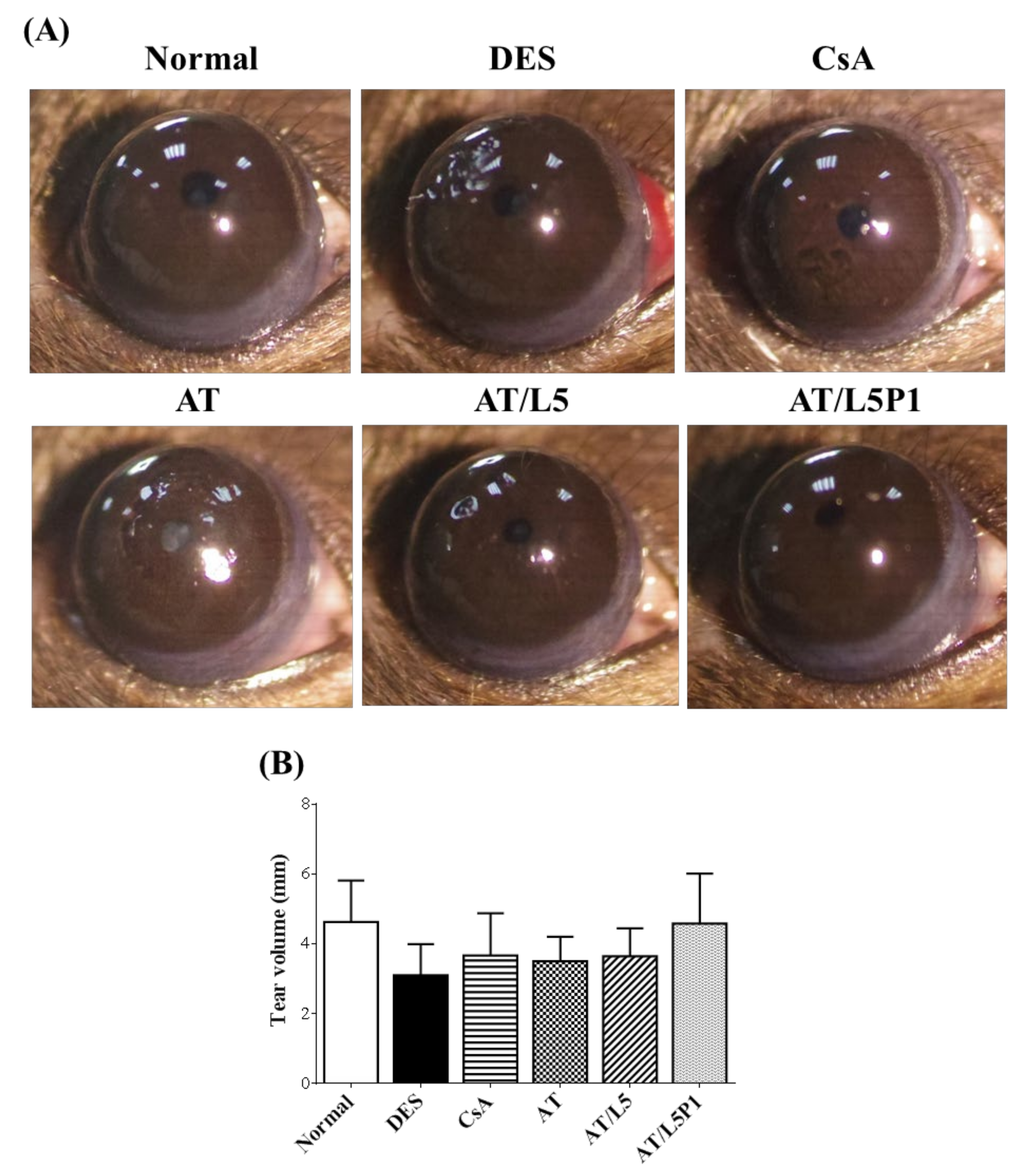 Pharmaceutics 13 01801 g005 550