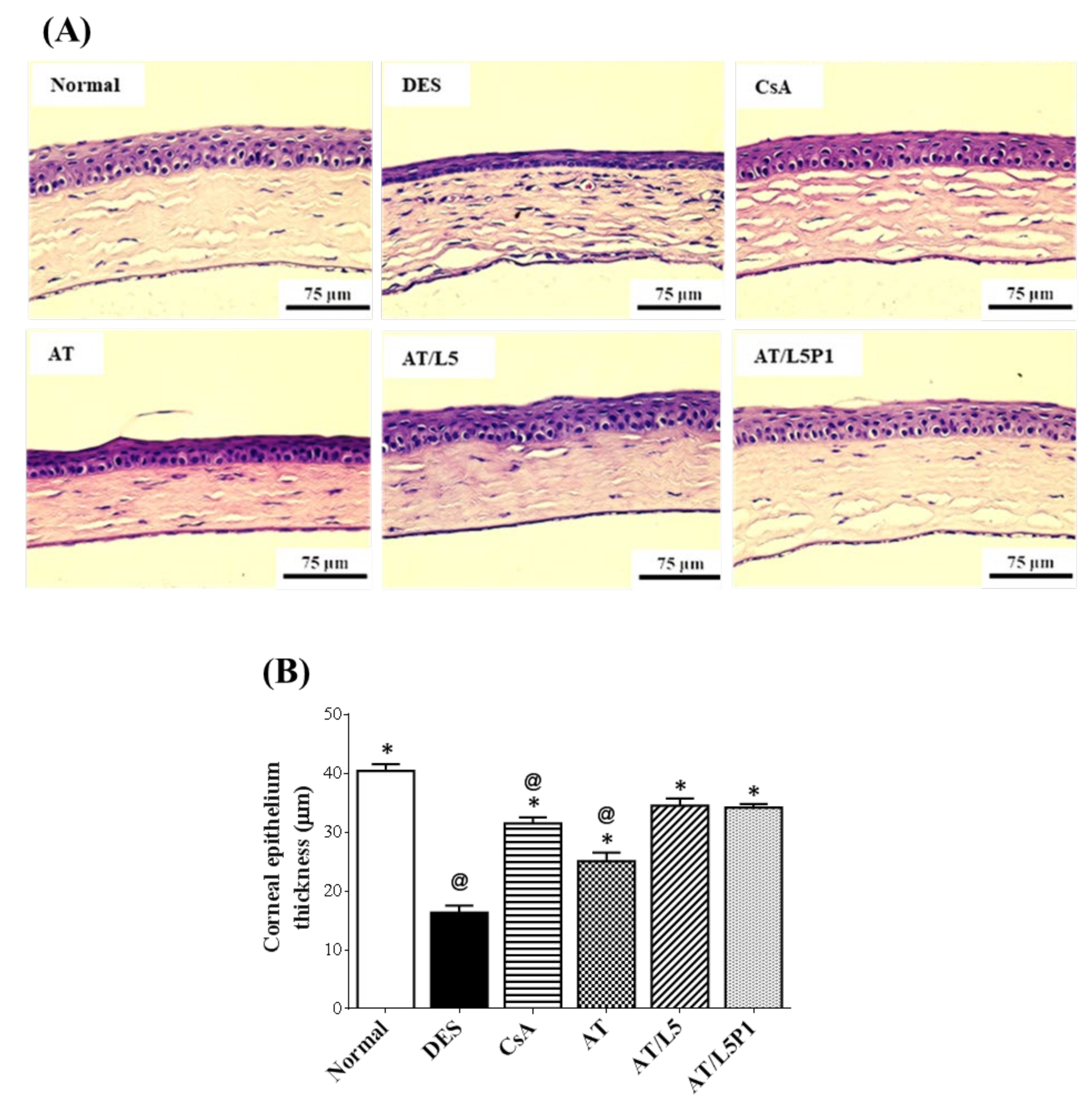 Pharmaceutics 13 01801 g007 550