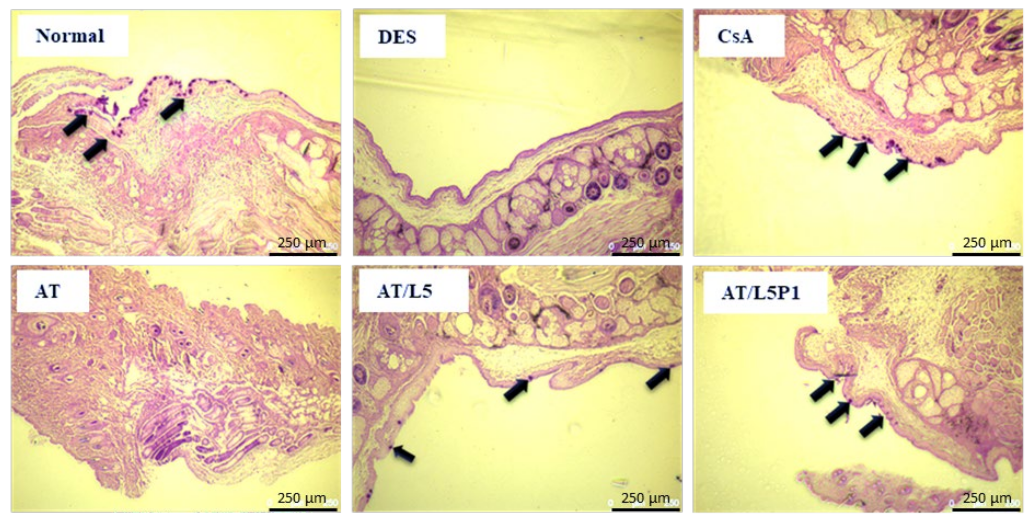 Pharmaceutics 13 01801 g008 550