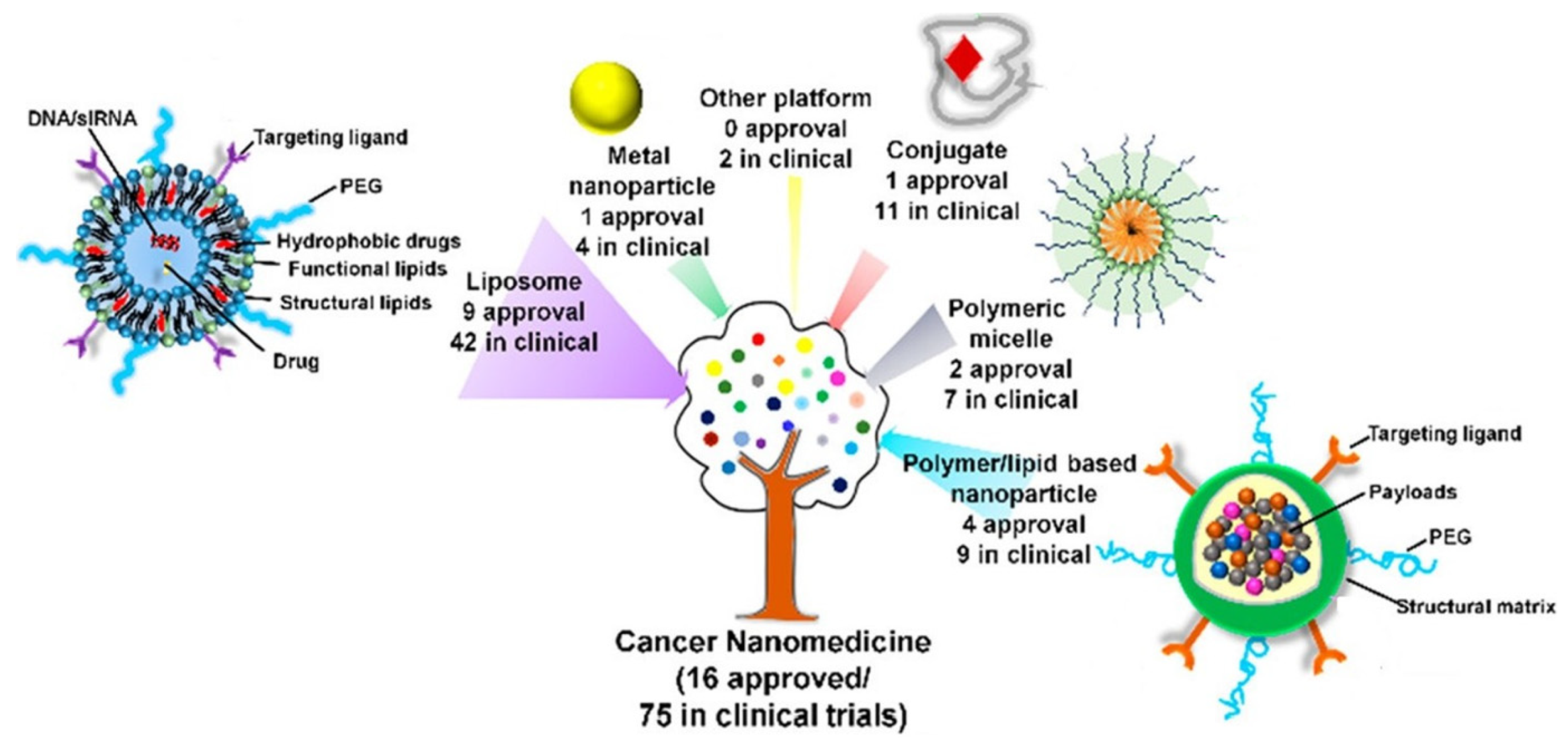 Survey of Clinical Translation of Cancer Nanomedicines—Lessons