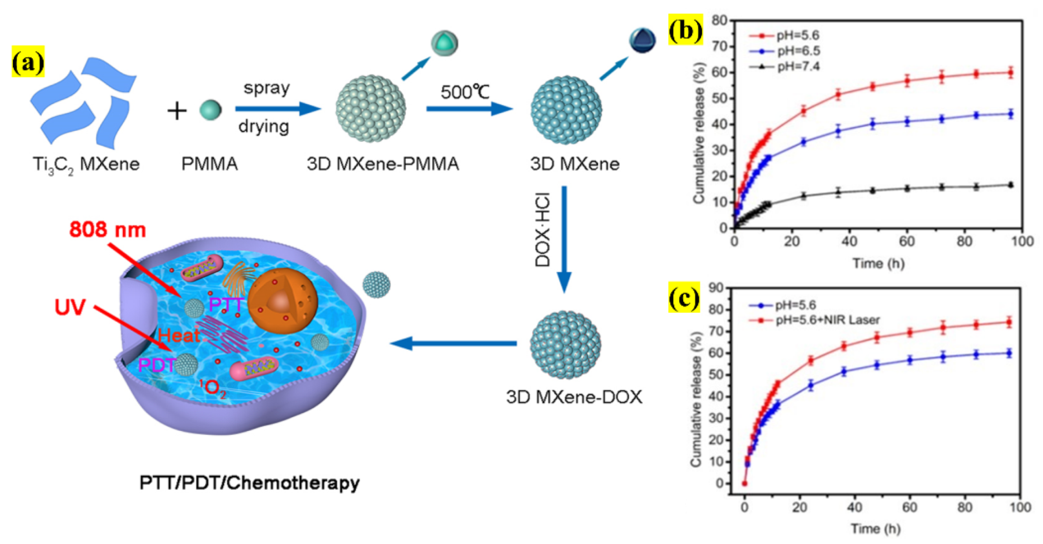 Pharmaceutics 13 01803 g004 550