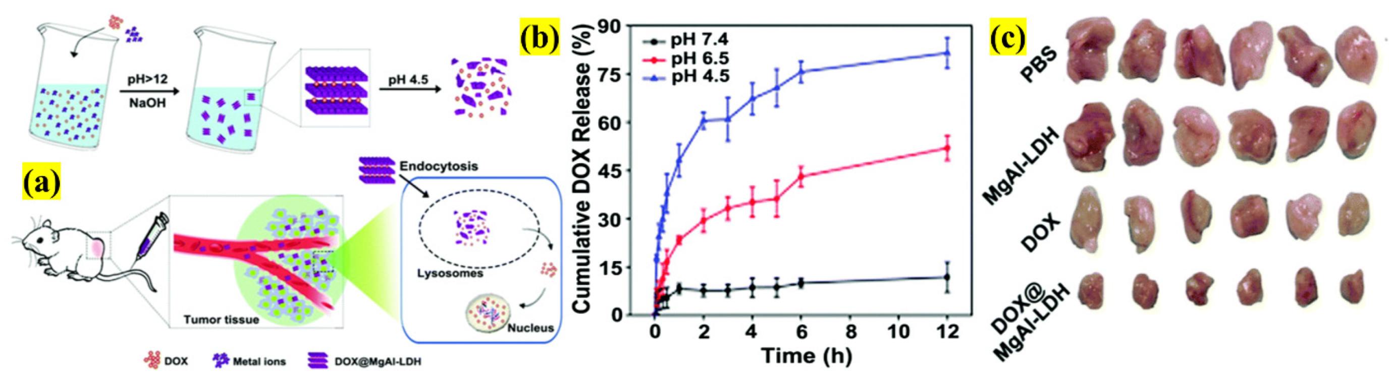 Pharmaceutics 13 01803 g011 550