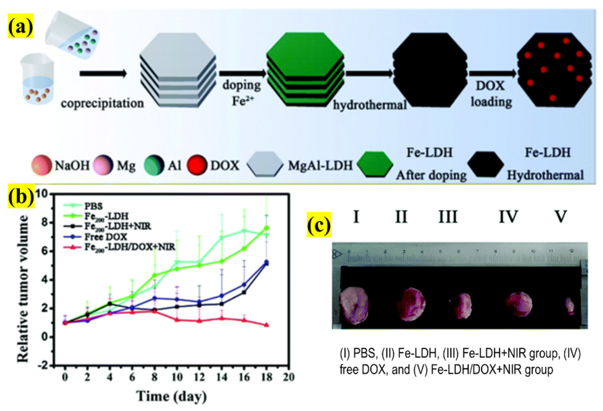 Pharmaceutics 13 01803 g012 550