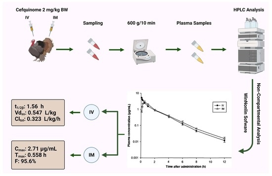Pharmaceutics Free Full Text Disposition Of Cefquinome In Turkeys Meleagris Gallopavo Following Intravenous And Intramuscular Administration Html Pharmaceutics Free Full Text Disposition Of Cefquinome In Turkeys Meleagris Gallopavo Following Intravenous And Intramuscular Administration Html