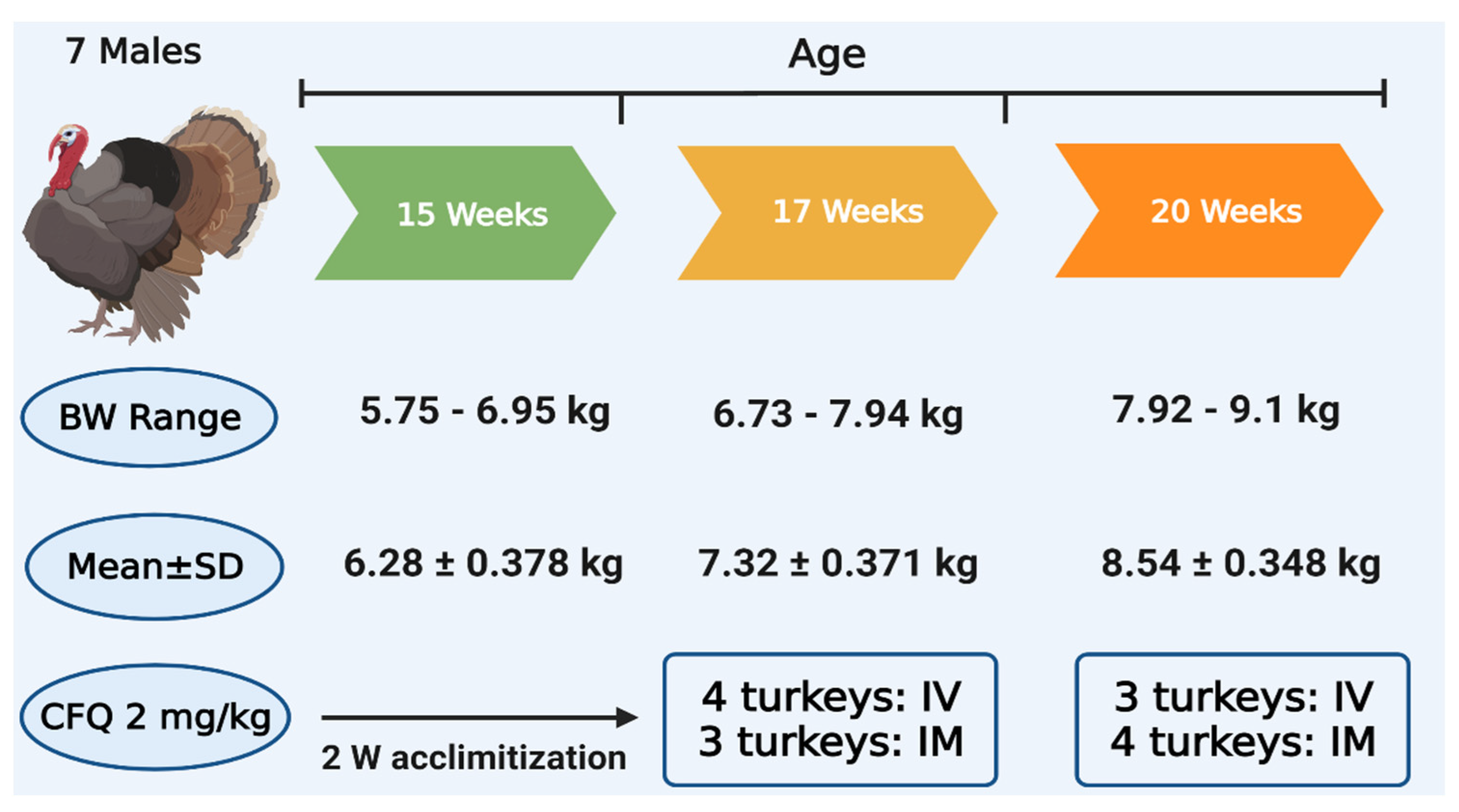 Pharmaceutics 13 01804 g002 Pharmaceutics 13 01804 g002