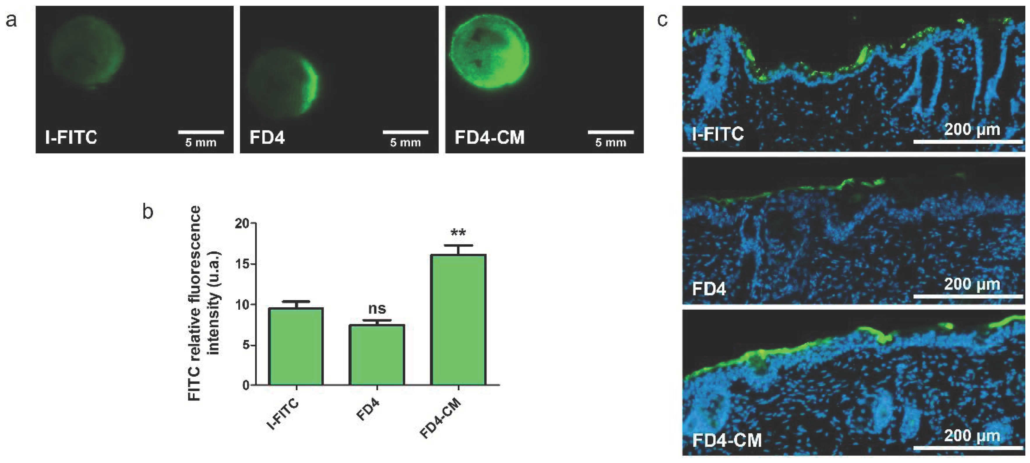 Pharmaceutics 13 01805 g006 550