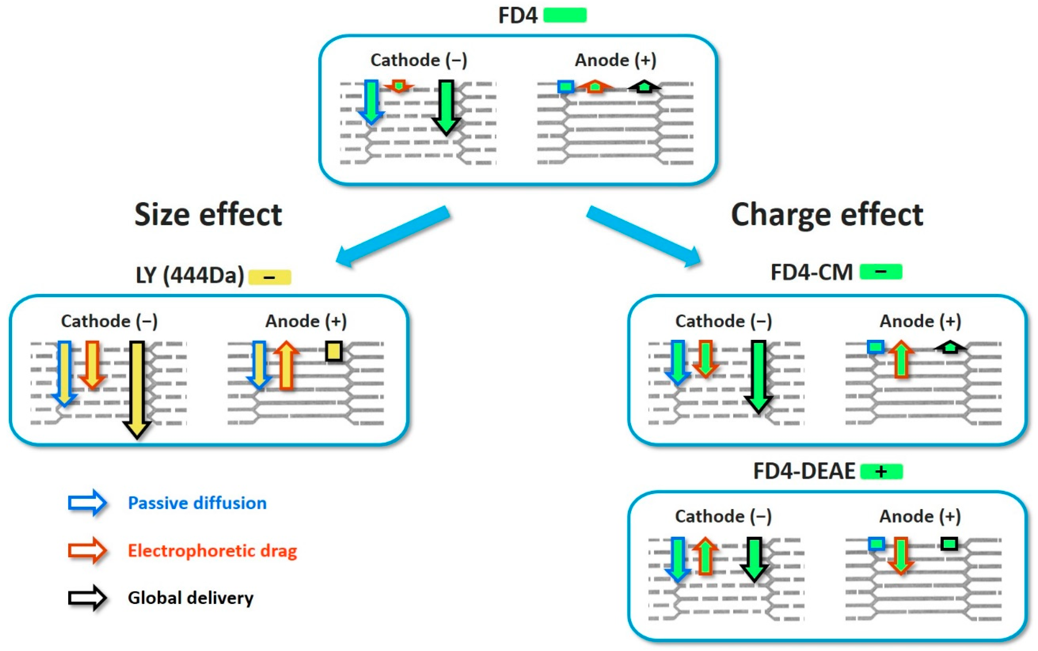 Pharmaceutics 13 01805 g008 550