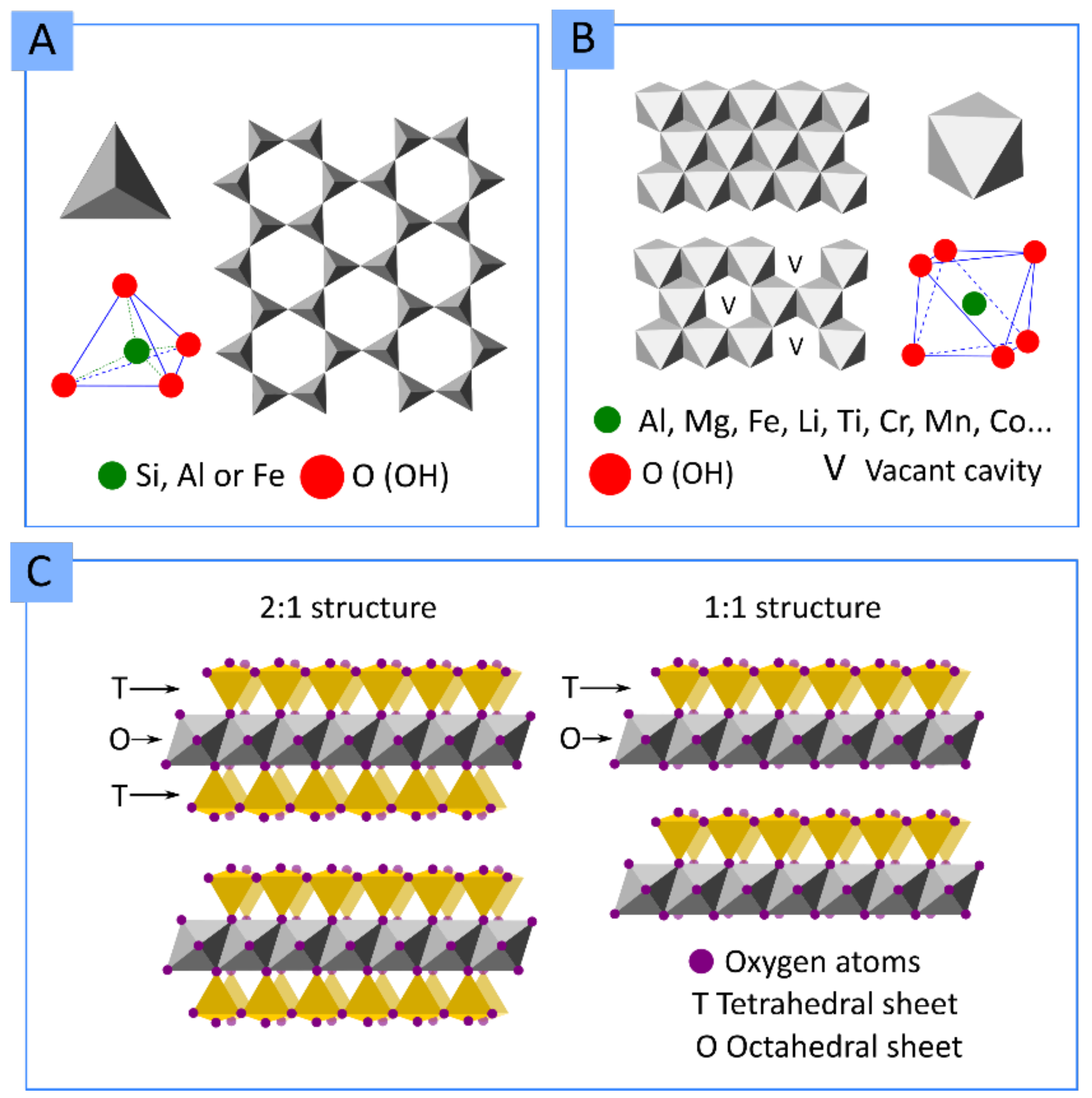 Pharmaceutics 13 01806 g001