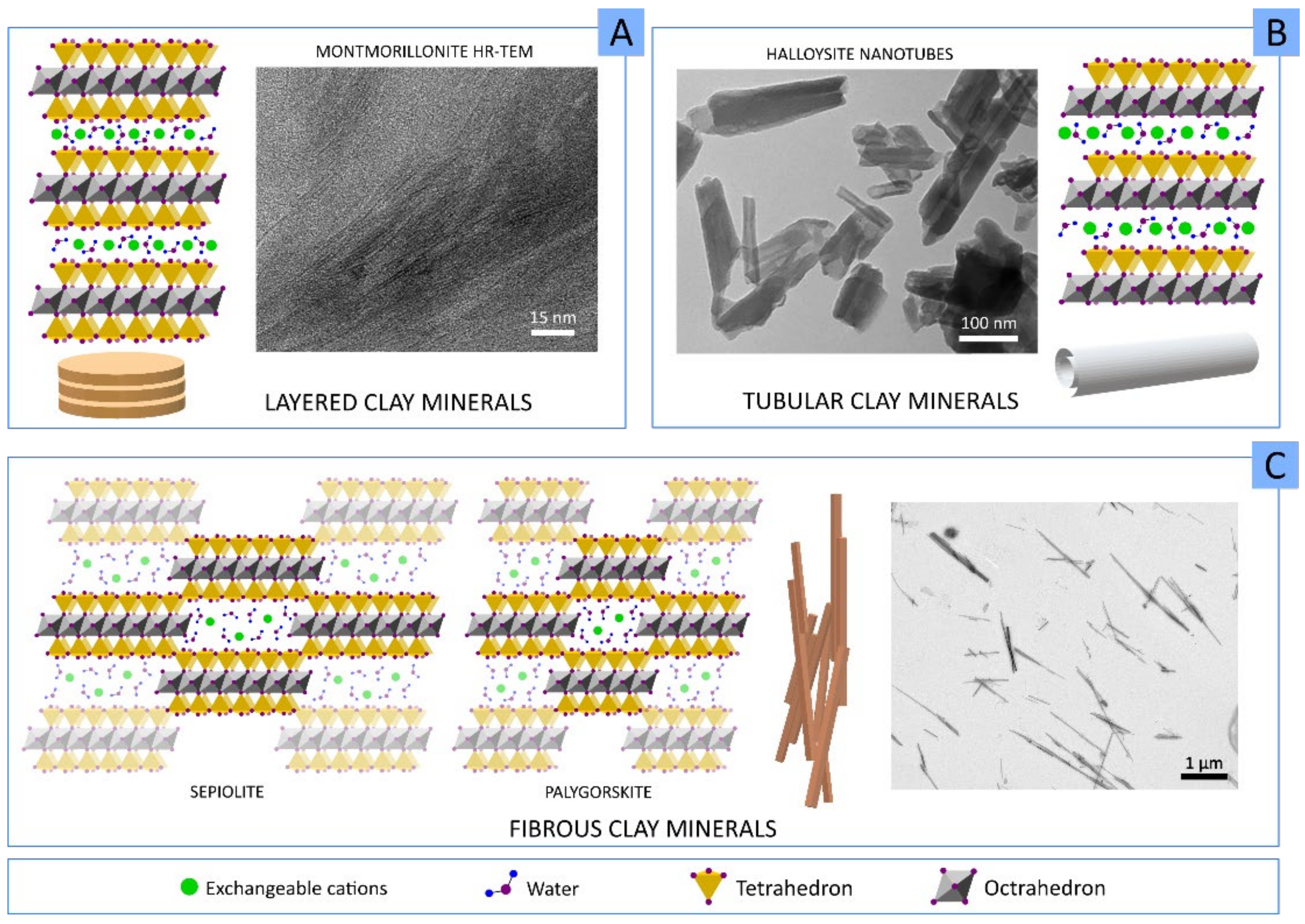 Pharmaceutics 13 01806 g002