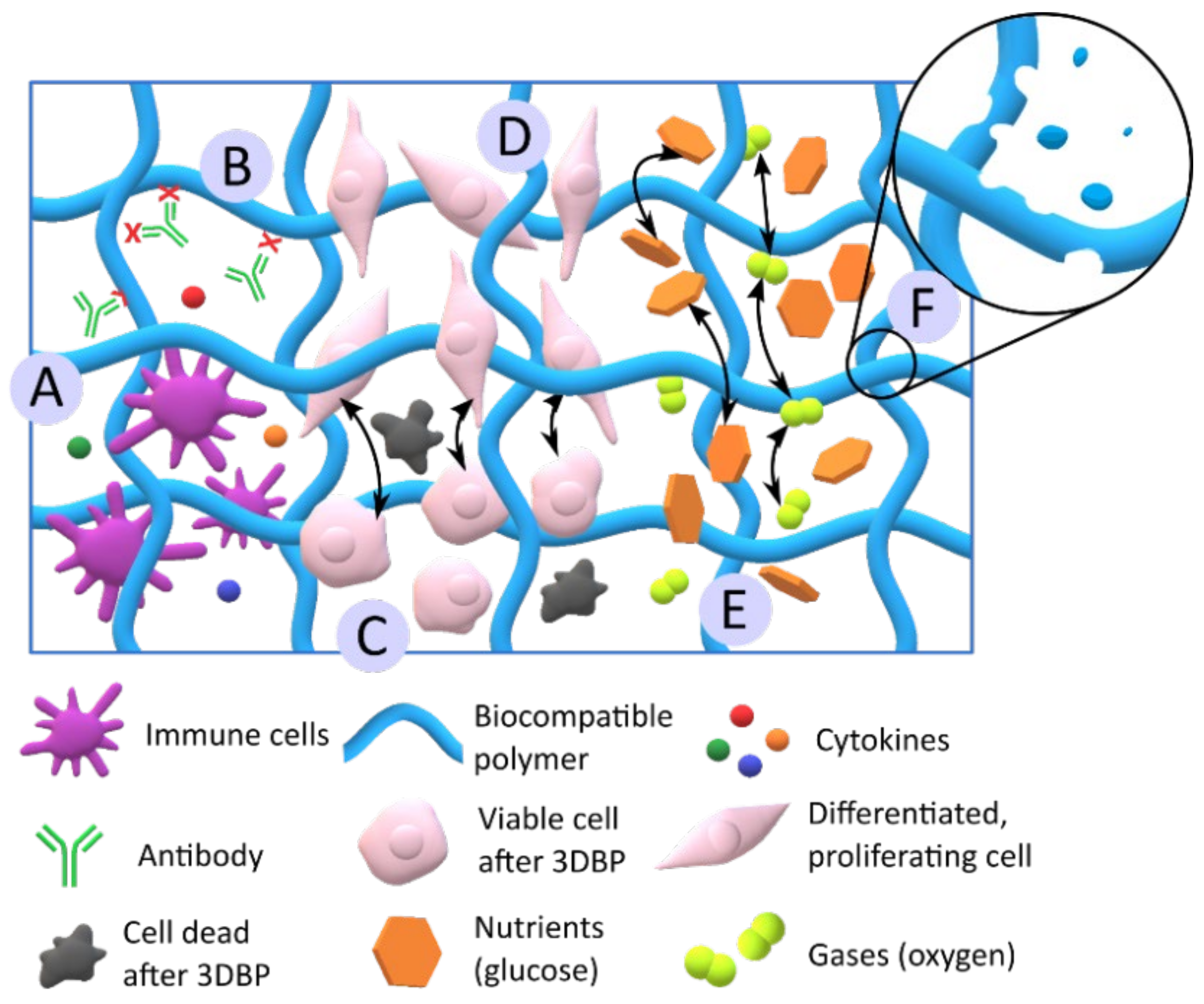 Pharmaceutics 13 01806 g009